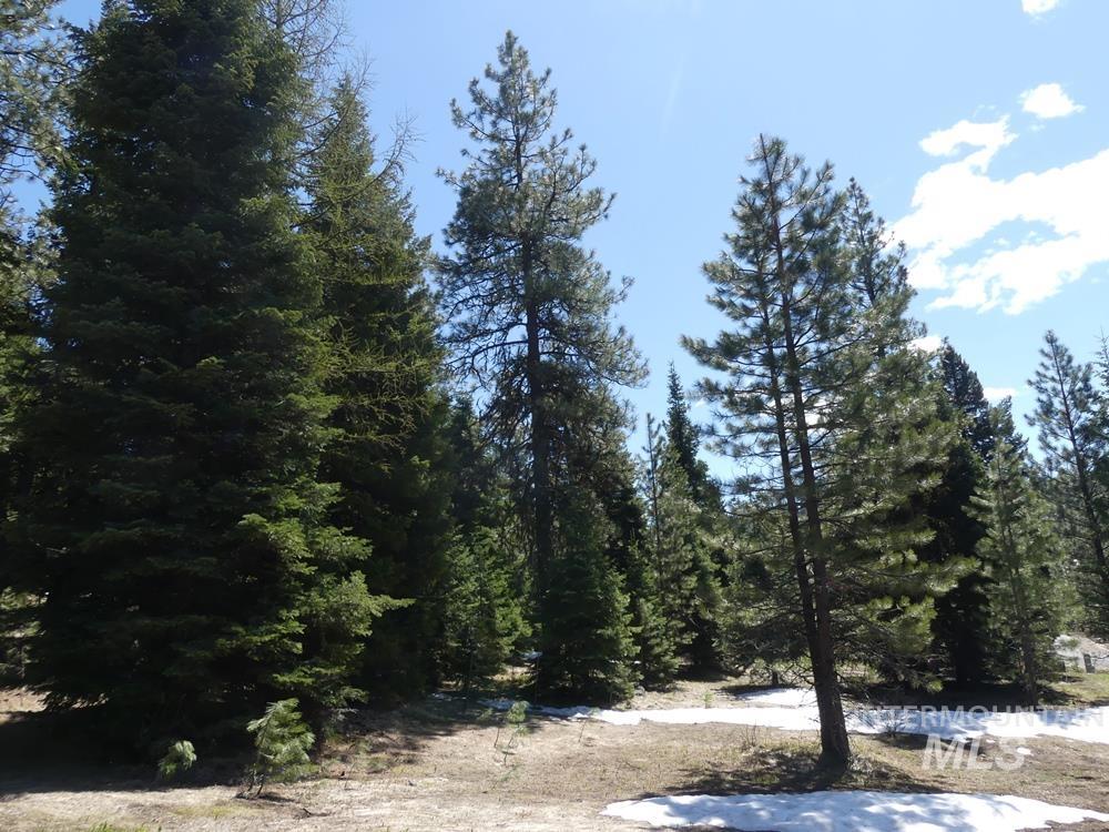 TBD Whitefield Lane, McCall, Idaho 83638, Land For Sale, Price $242,000, 98946662