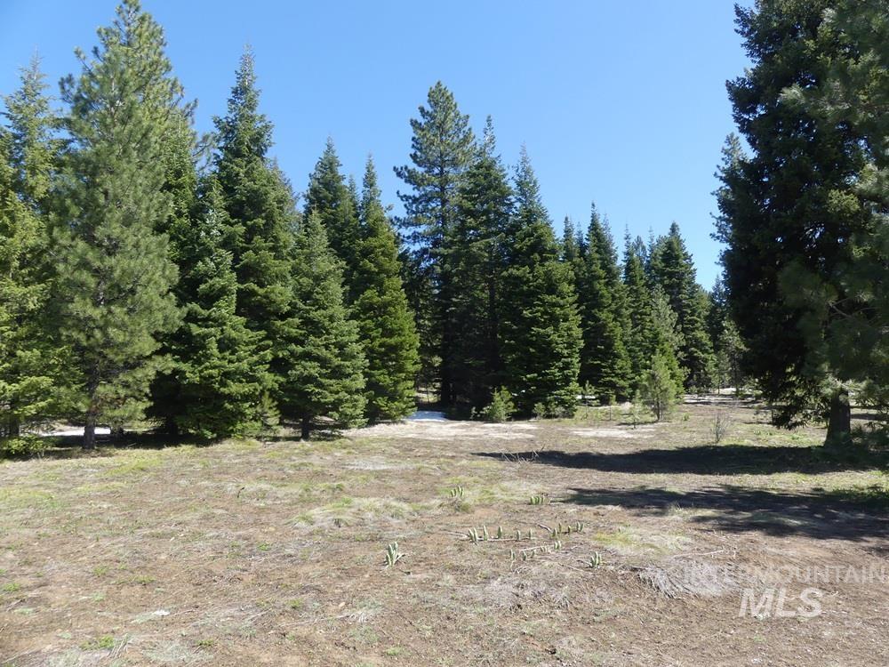 TBD Whitefield Lane, McCall, Idaho 83638, Land For Sale, Price $299,000, 98946662