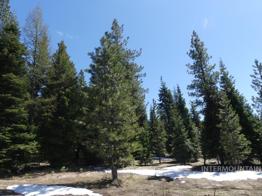 TBD Whitefield Lane, McCall, Idaho 83638, Land For Sale, Price $242,000, 98946662