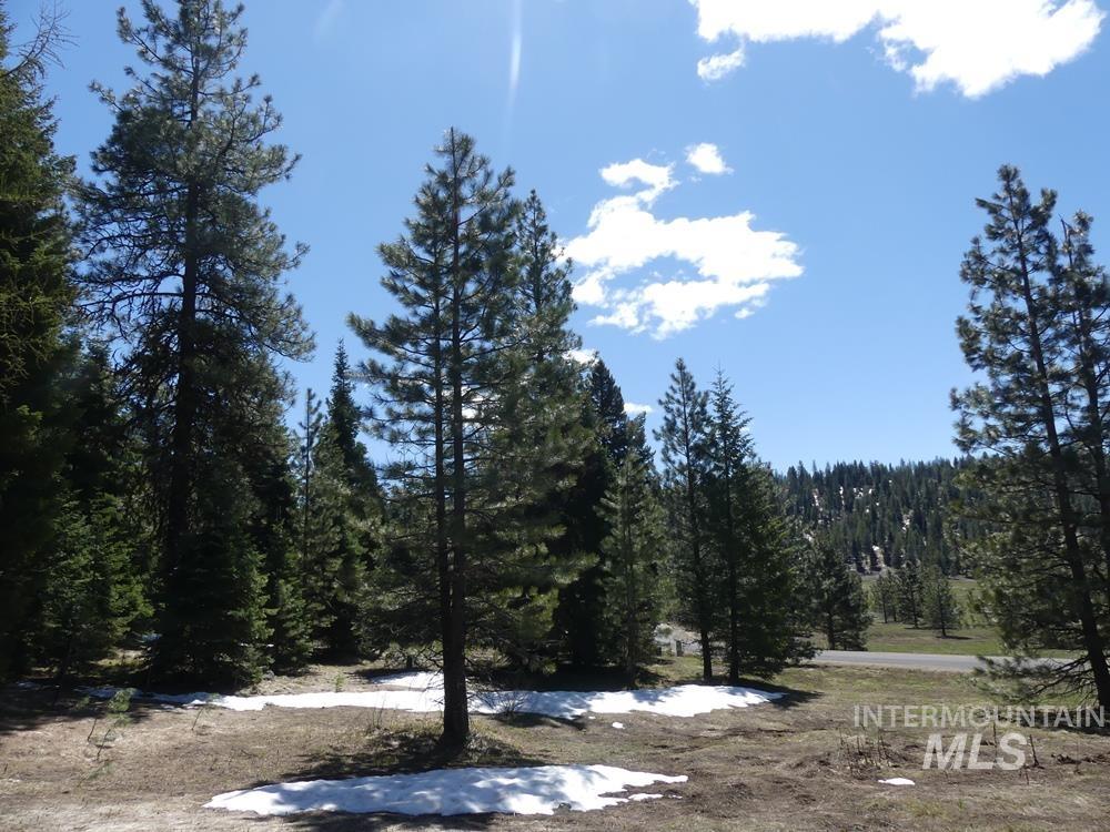 TBD Whitefield Lane, McCall, Idaho 83638, Land For Sale, Price $299,000, 98946662