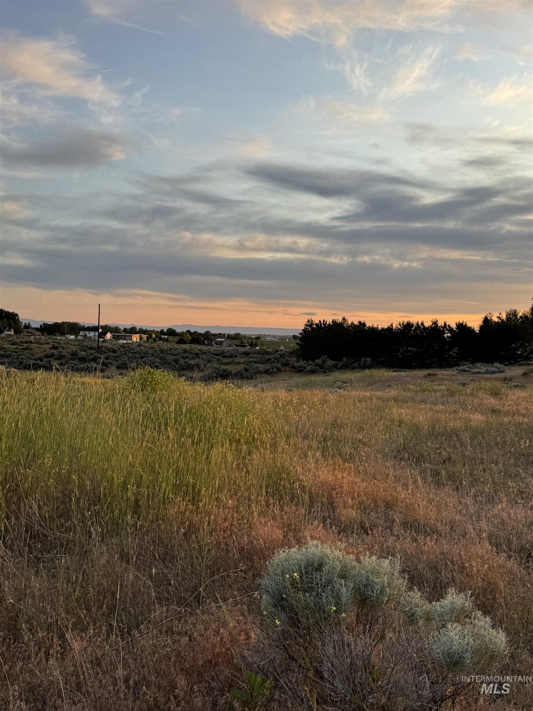 View of nature at dusk