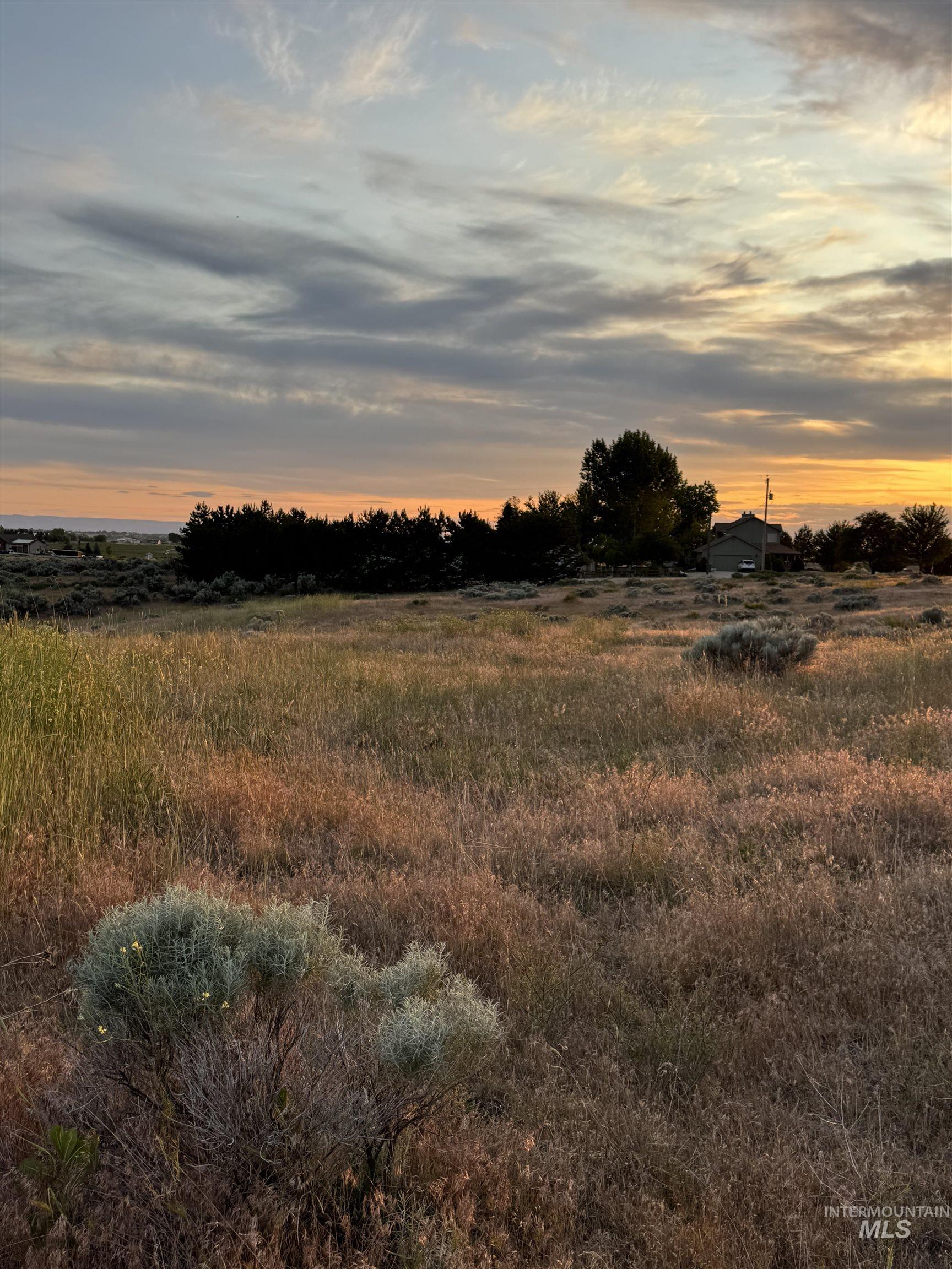 View of nature at dusk