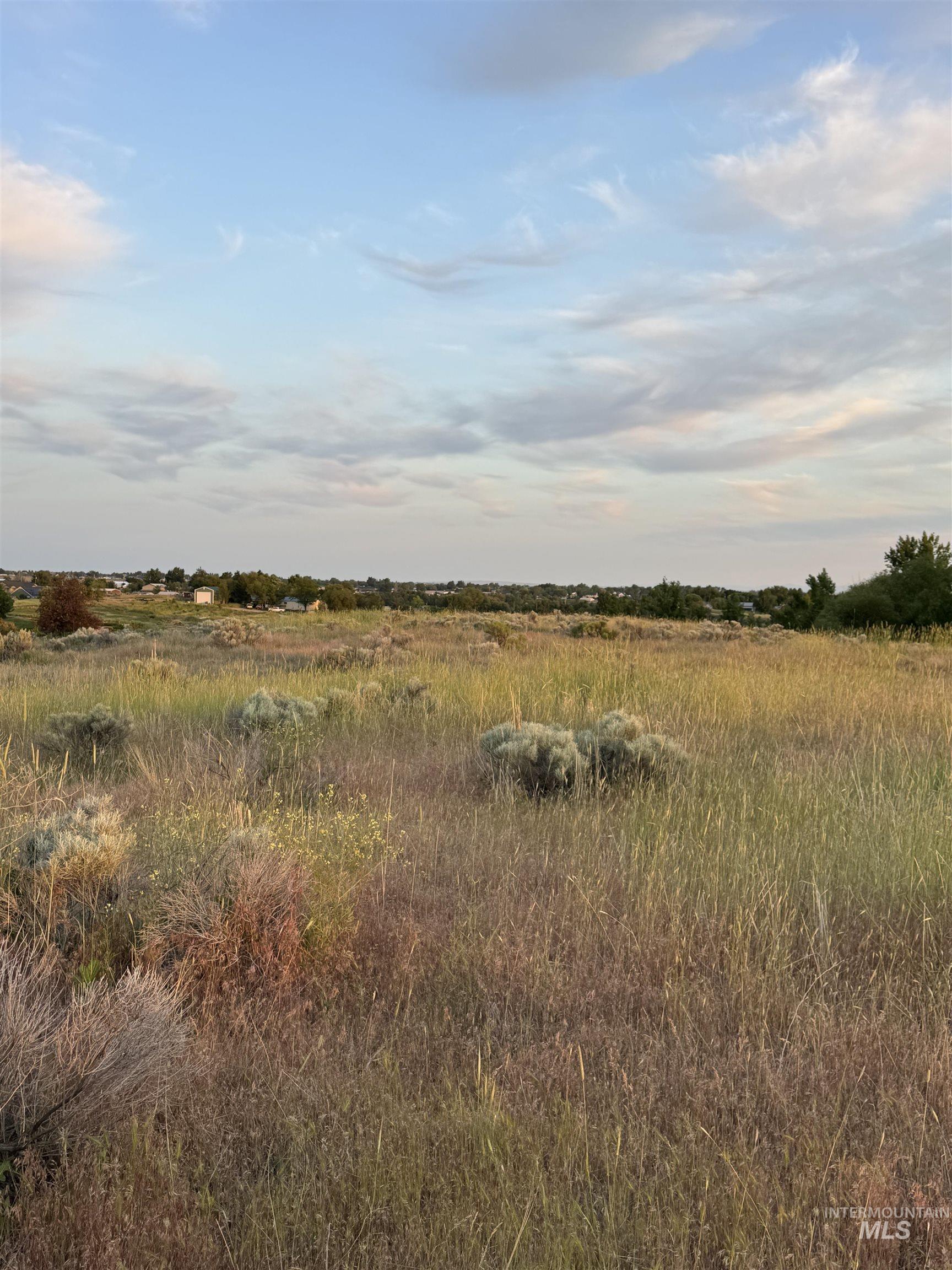 View of local wilderness