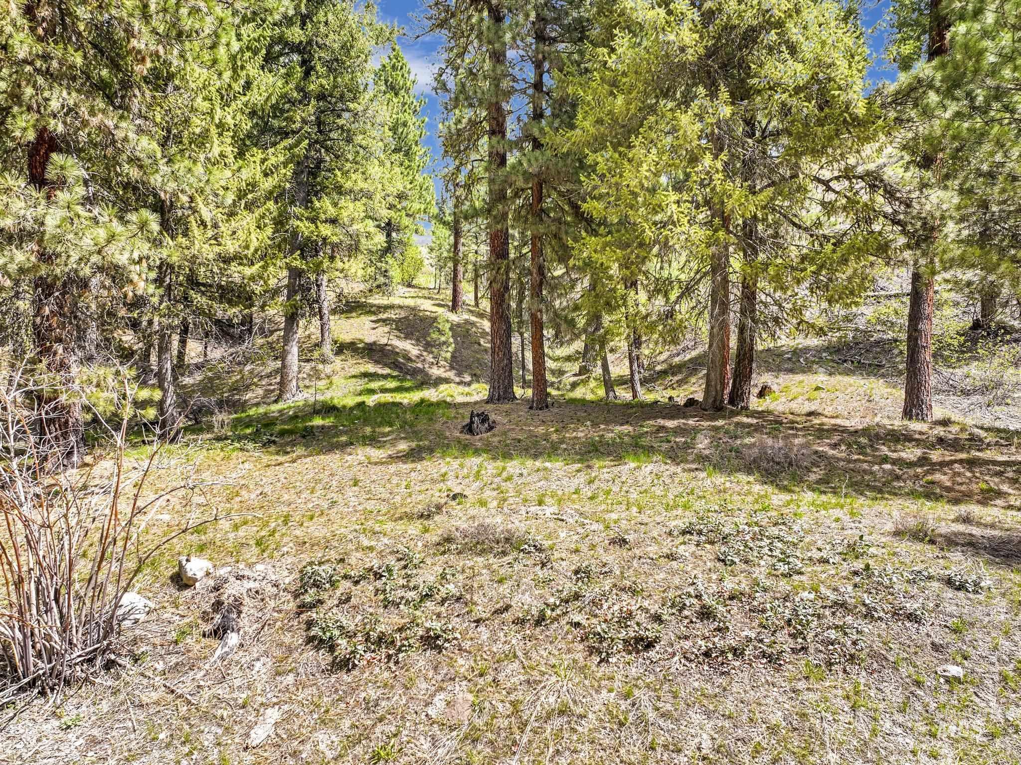 TBD Trinity Creek RD, Featherville, Idaho 83647, Land For Sale, Price $290,000,MLS 98946715