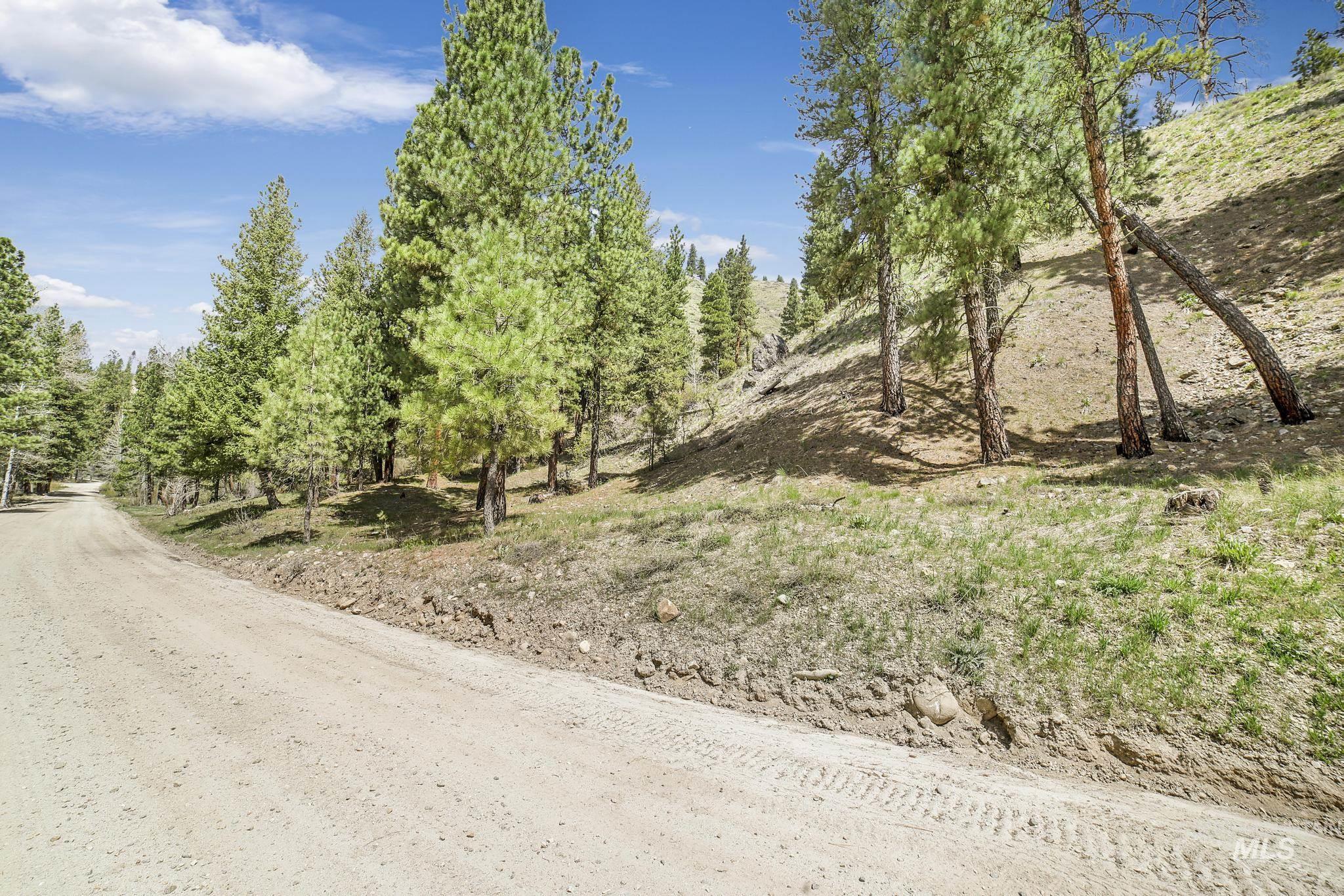 TBD Trinity Creek RD, Featherville, Idaho 83647, Land For Sale, Price $250,000, 98946715