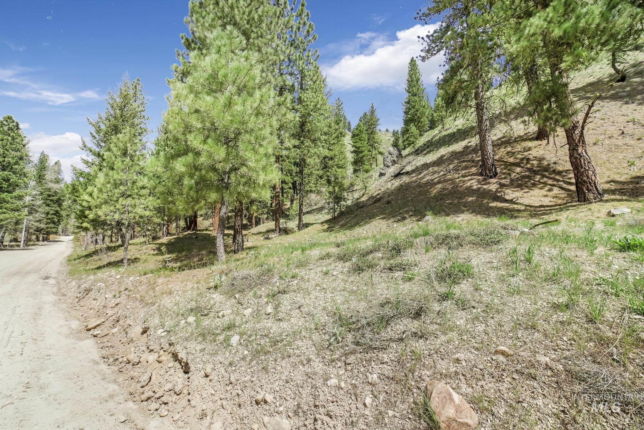 TBD Trinity Creek RD, Featherville, Idaho 83647, Land For Sale, Price $250,000, 98946715