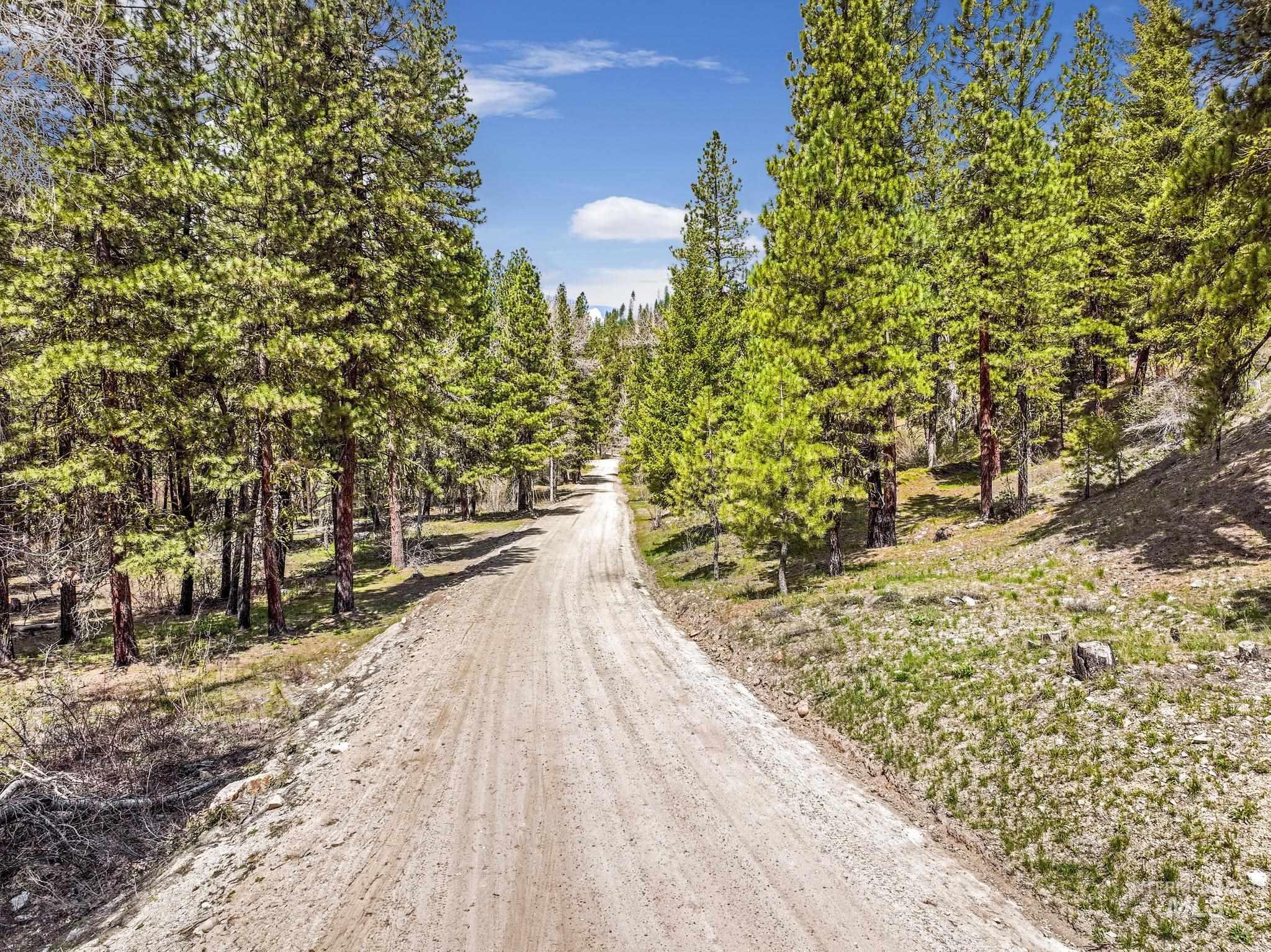 TBD Trinity Creek RD, Featherville, Idaho 83647, Land For Sale, Price $250,000, 98946715