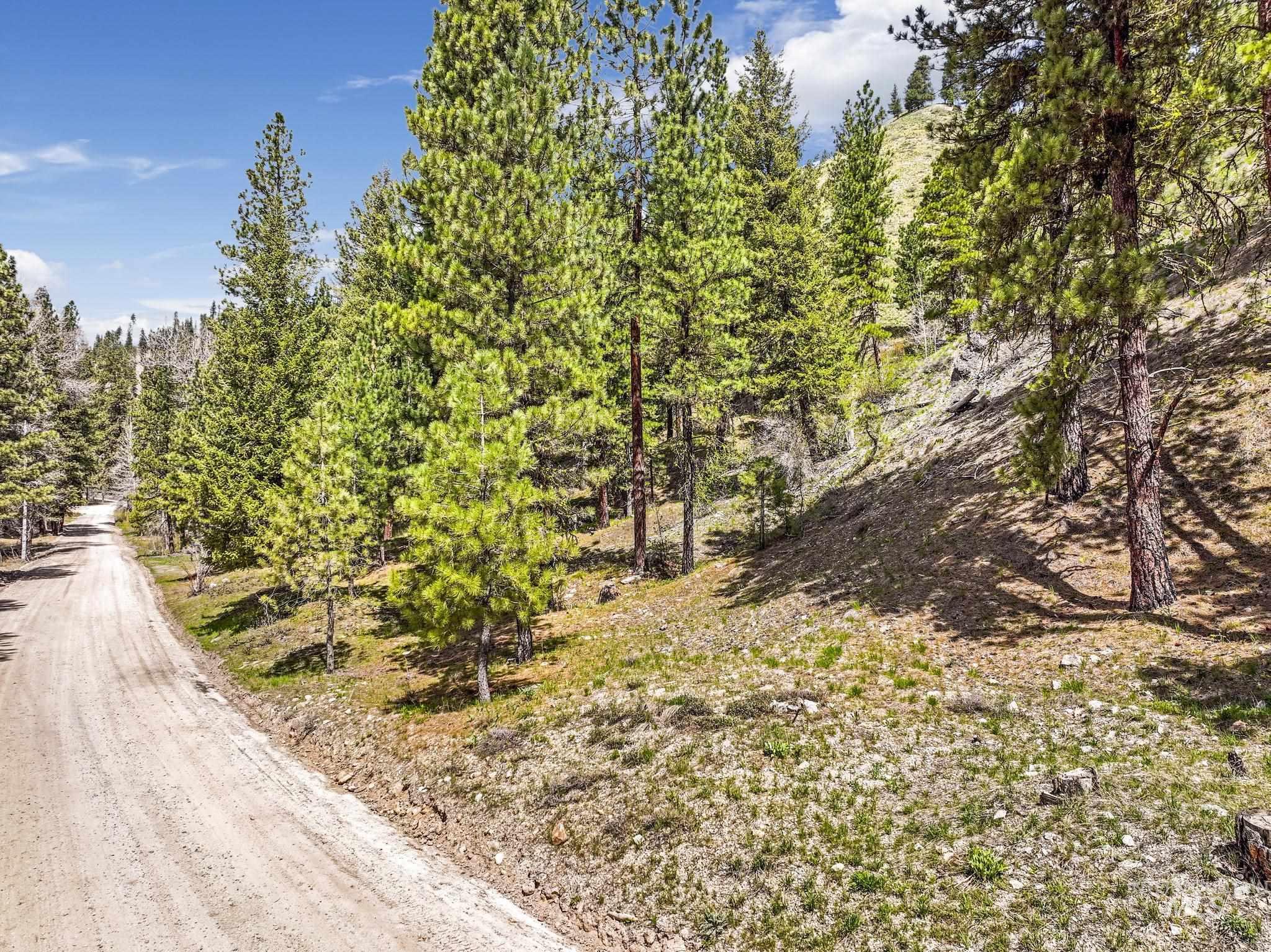 TBD Trinity Creek RD, Featherville, Idaho 83647, Land For Sale, Price $250,000, 98946715