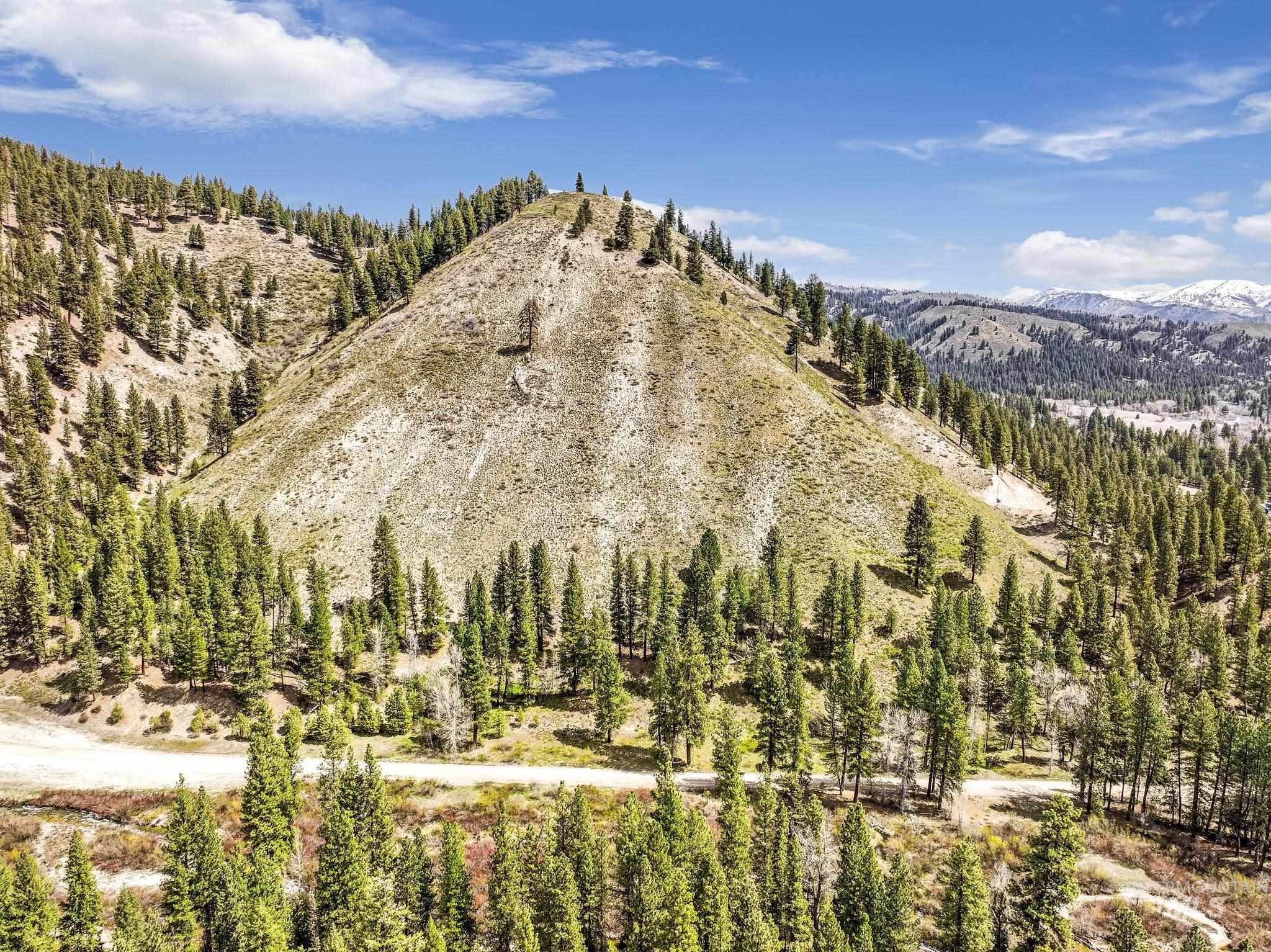 TBD Trinity Creek RD, Featherville, Idaho 83647, Land For Sale, Price $250,000, 98946715