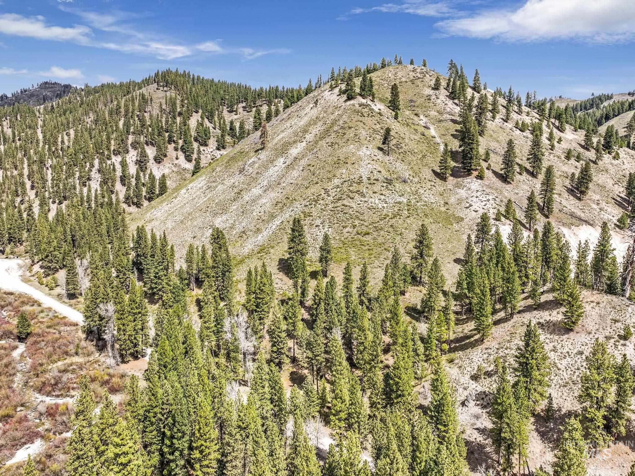 TBD Trinity Creek RD, Featherville, Idaho 83647, Land For Sale, Price $250,000, 98946715