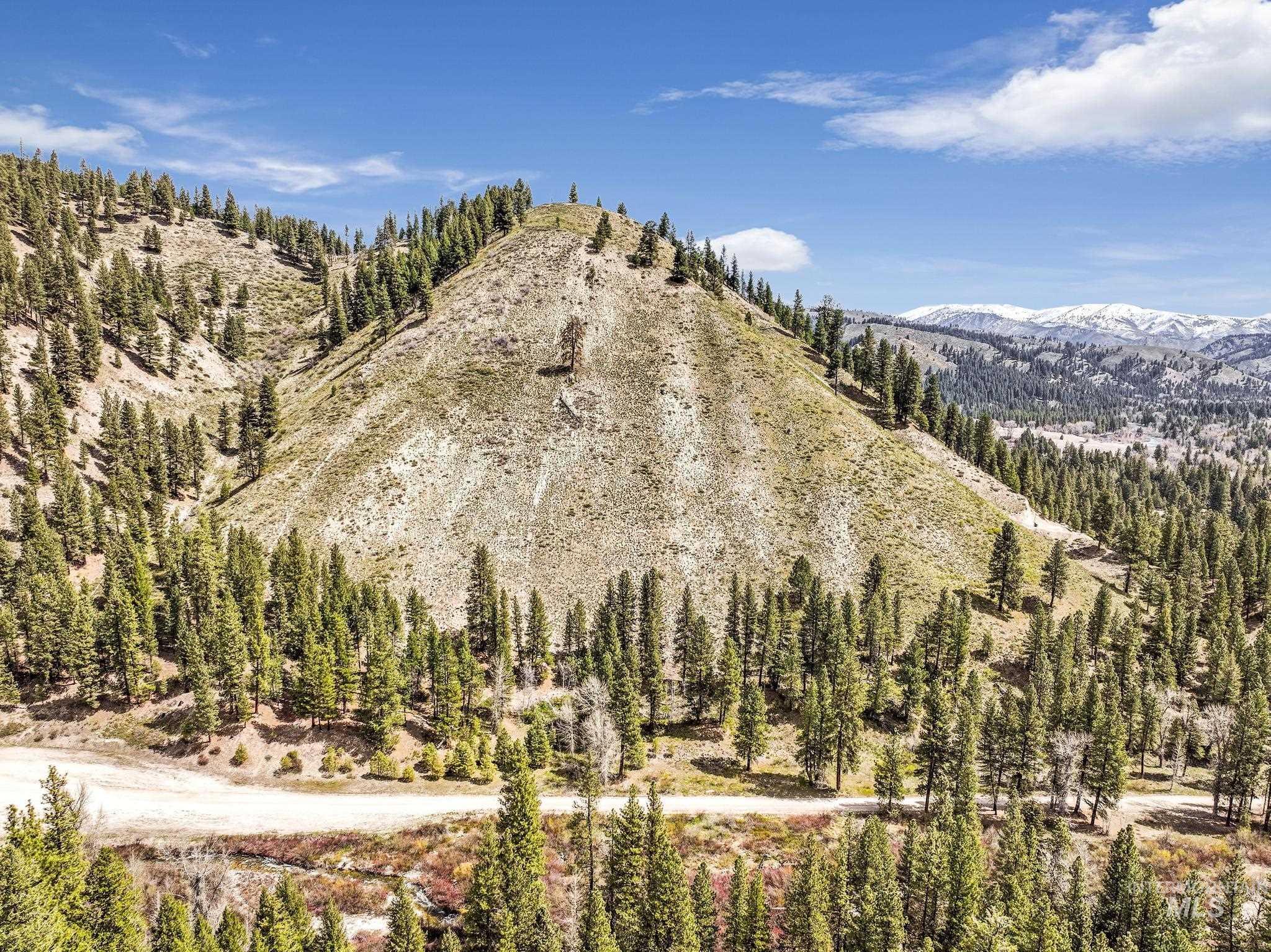 TBD Trinity Creek RD, Featherville, Idaho 83647, Land For Sale, Price $250,000, 98946715