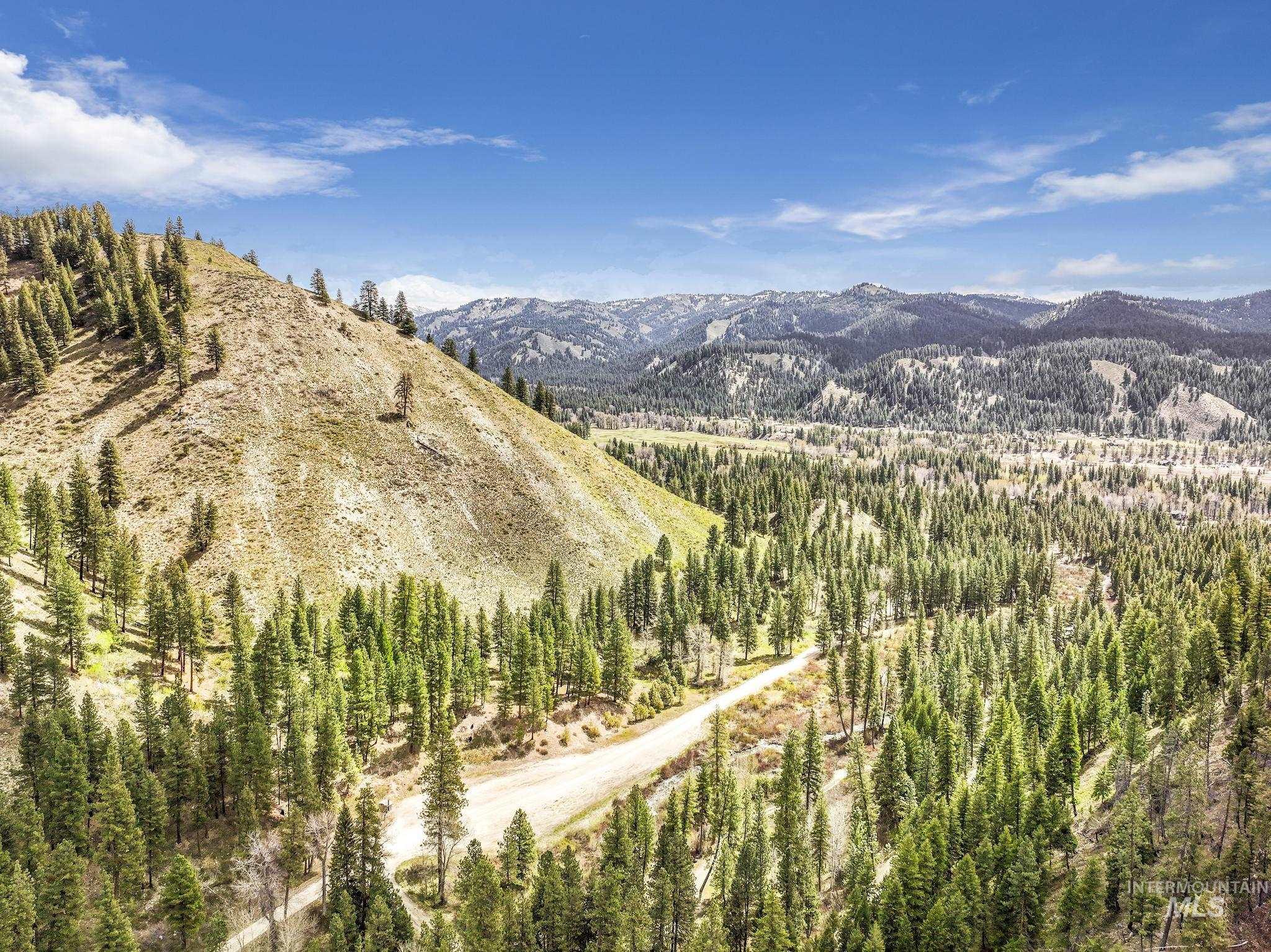 TBD Trinity Creek RD, Featherville, Idaho 83647, Land For Sale, Price $250,000, 98946715