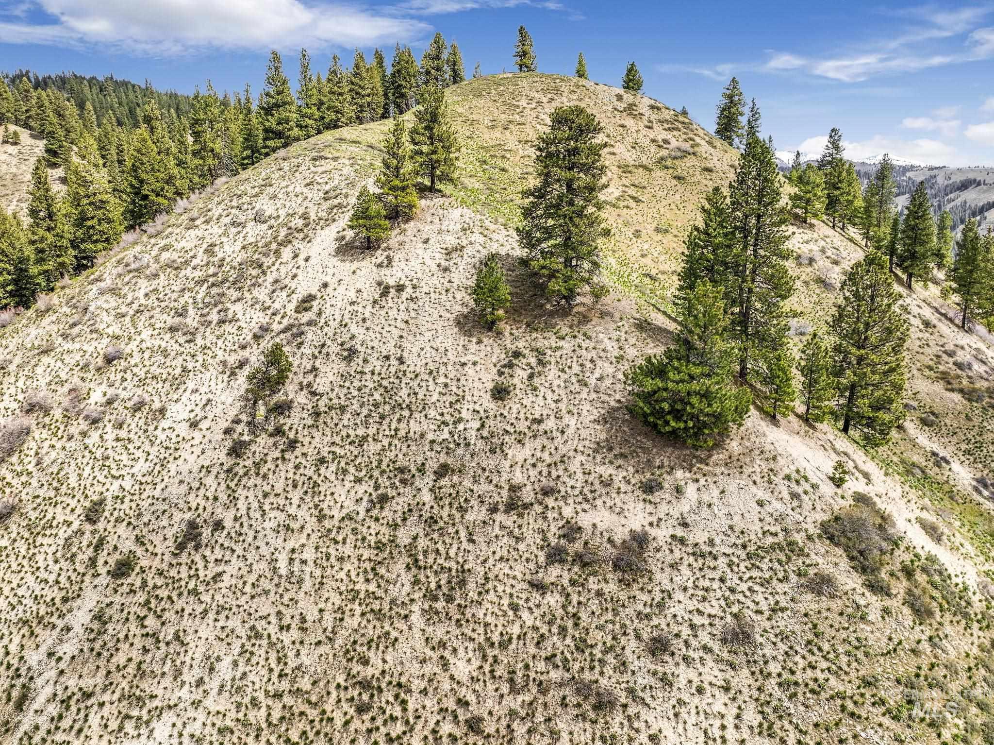 TBD Trinity Creek RD, Featherville, Idaho 83647, Land For Sale, Price $250,000, 98946715