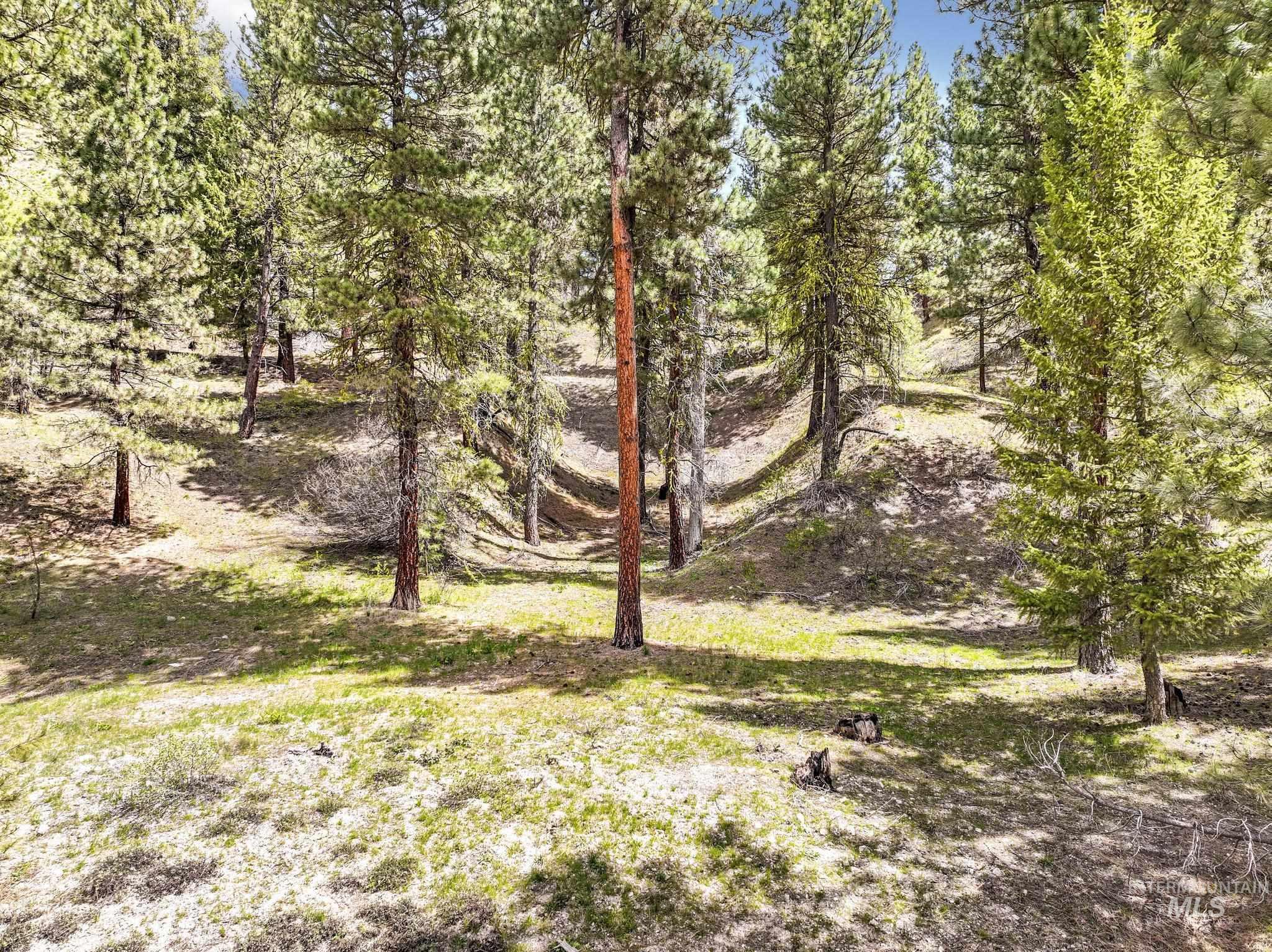 TBD Trinity Creek RD, Featherville, Idaho 83647, Land For Sale, Price $250,000, 98946715