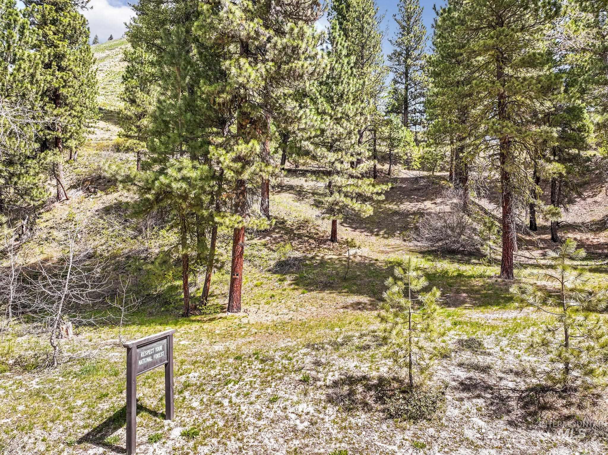 TBD Trinity Creek RD, Featherville, Idaho 83647, Land For Sale, Price $250,000, 98946715