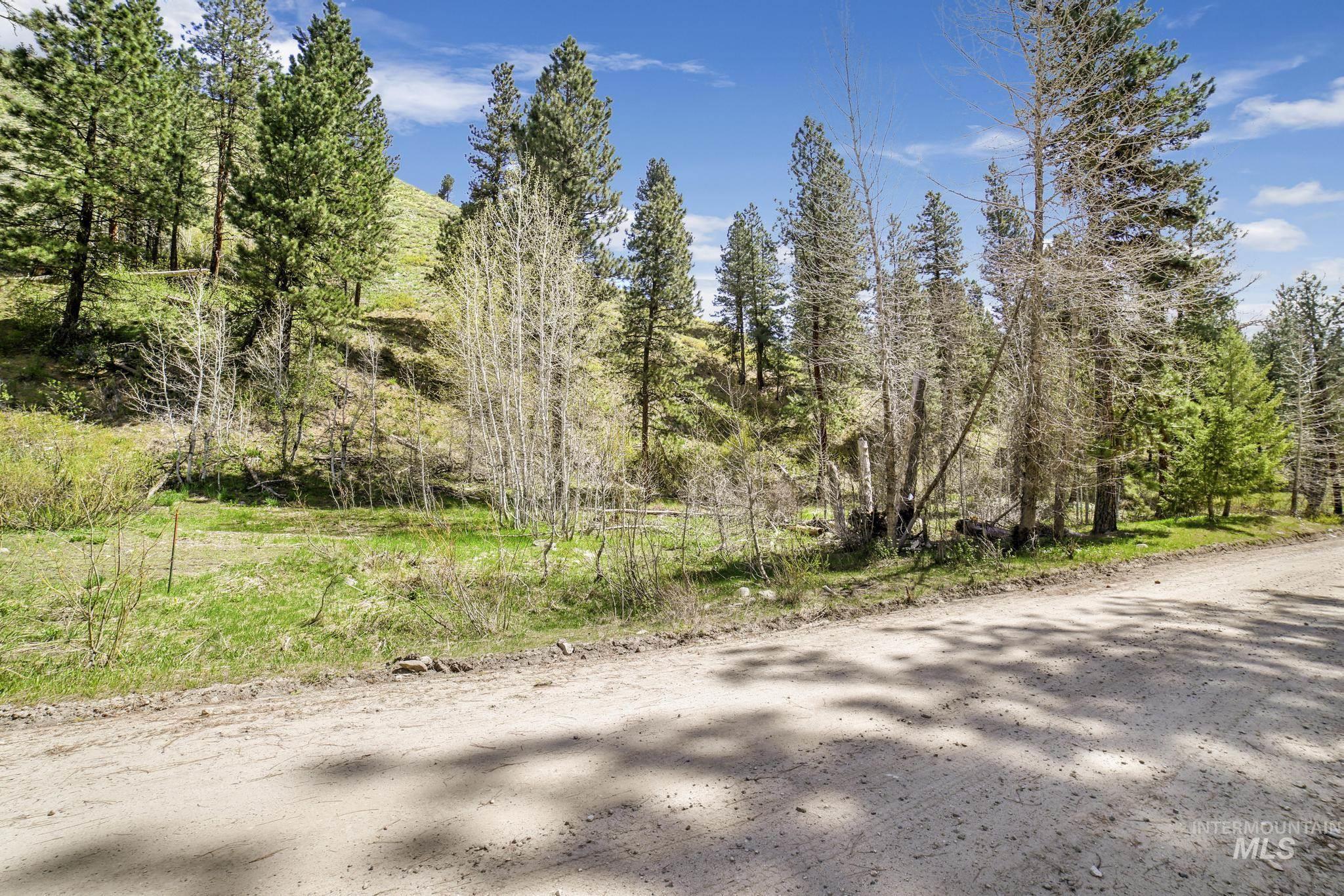 TBD Trinity Creek RD, Featherville, Idaho 83647, Land For Sale, Price $250,000, 98946715