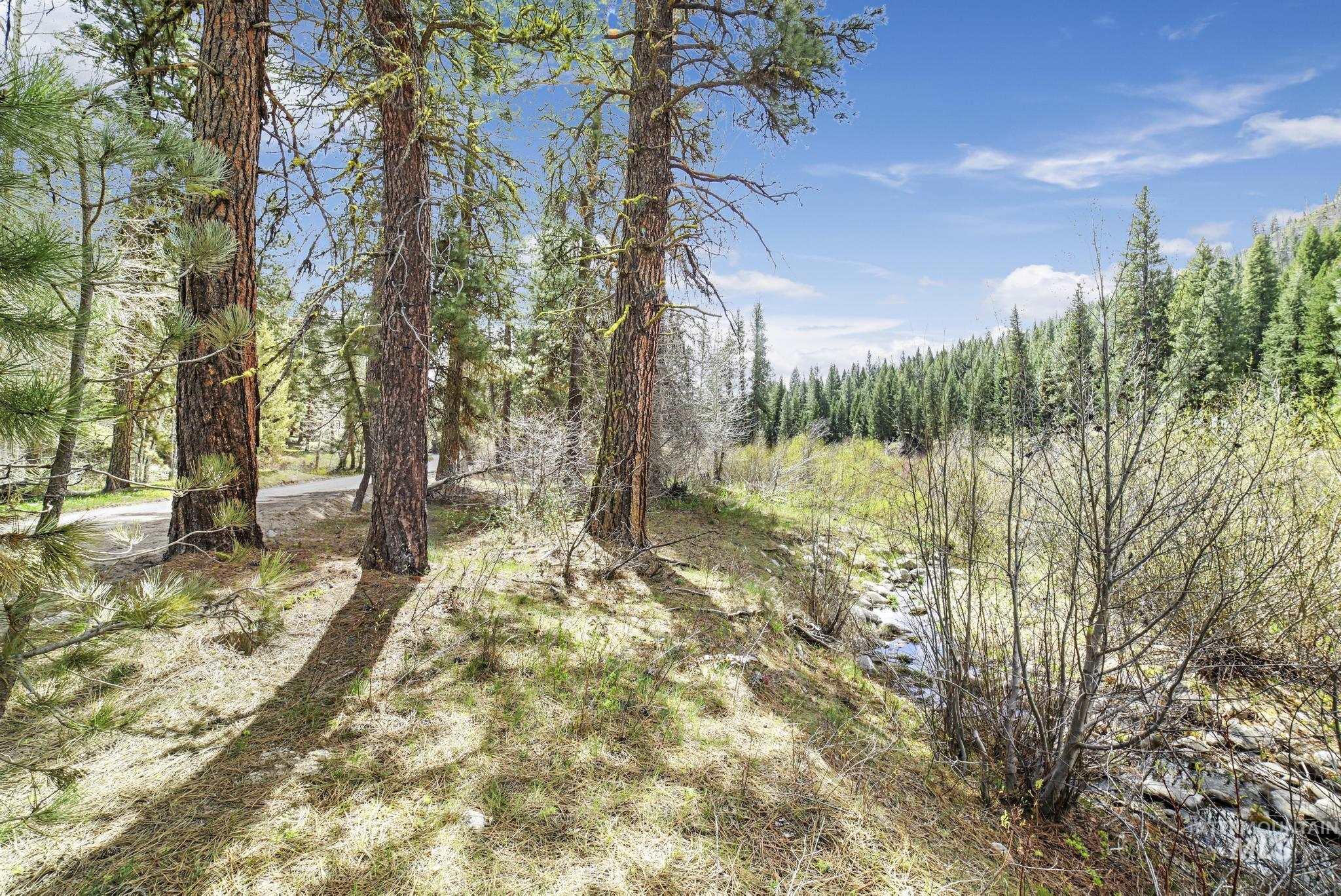 TBD Trinity Creek RD, Featherville, Idaho 83647, Land For Sale, Price $250,000, 98946715