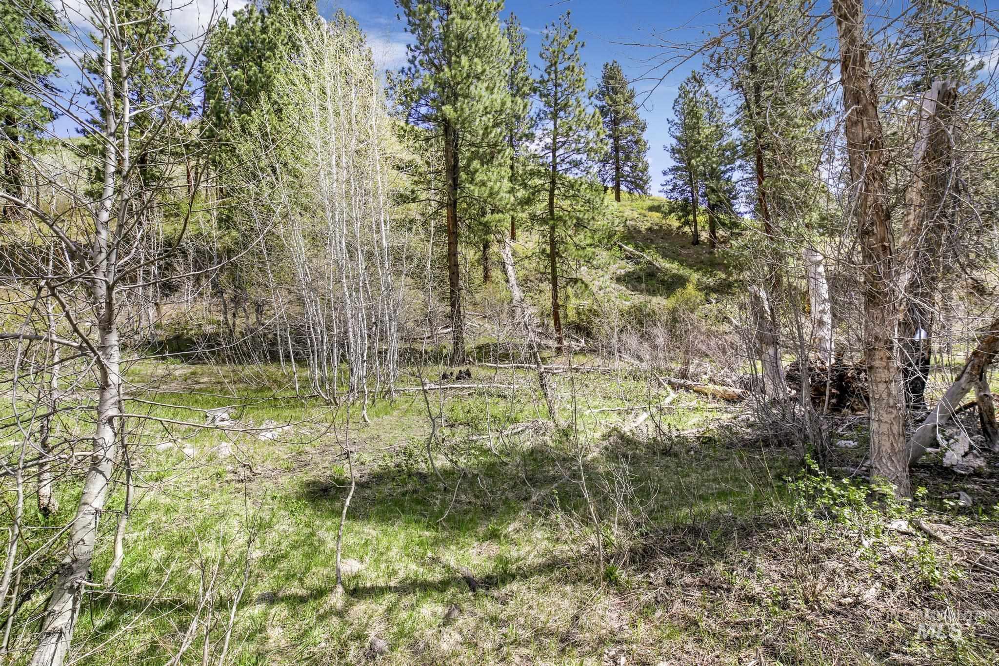TBD Trinity Creek RD, Featherville, Idaho 83647, Land For Sale, Price $250,000, 98946715