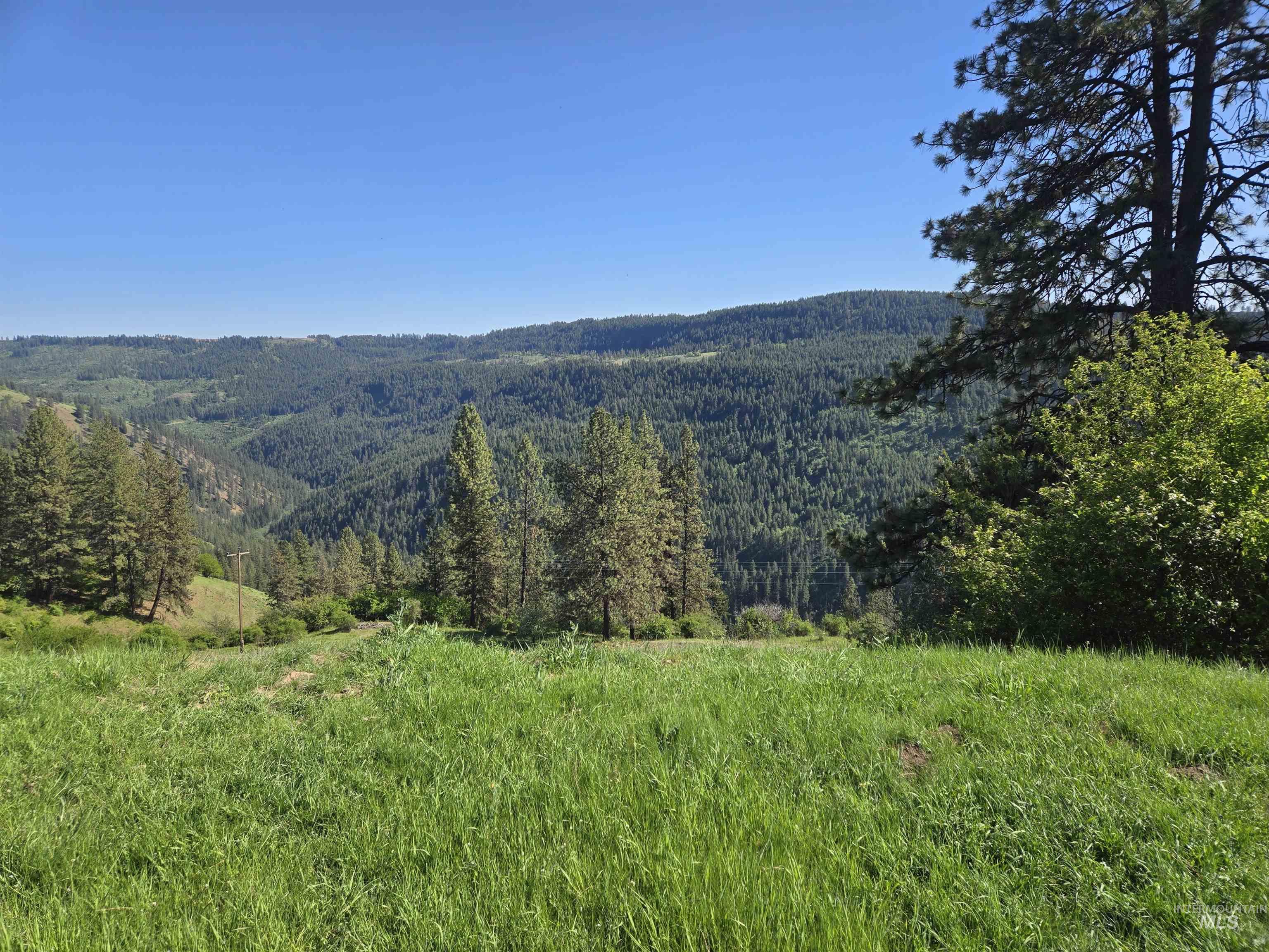 7329 Upper Fords Creek, Orofino, Idaho 83544, Land For Sale, Price $269,900, 98946728