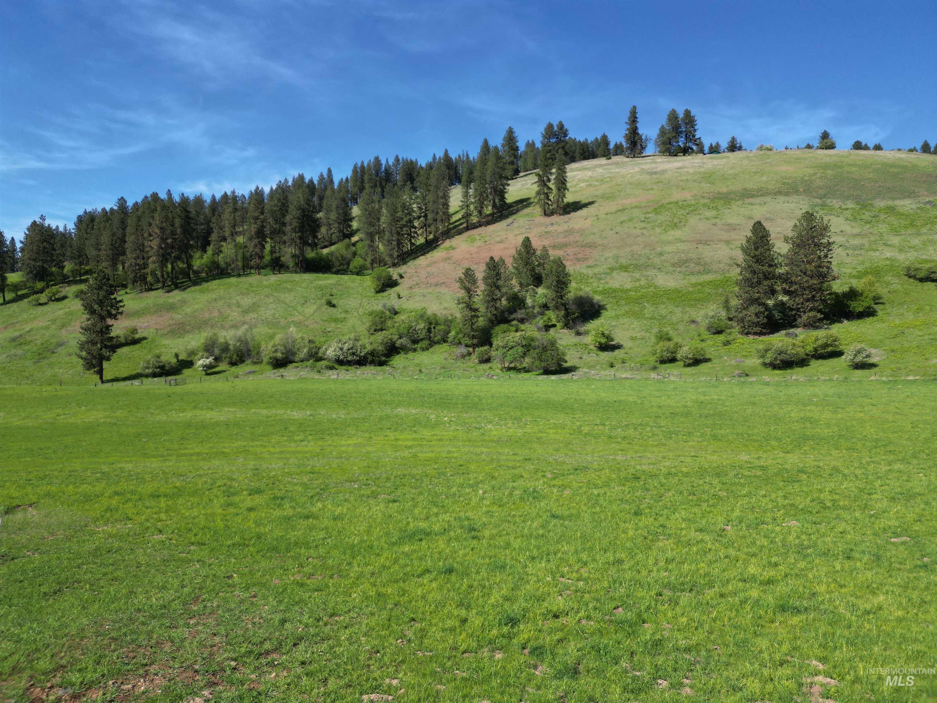 7329 Upper Fords Creek, Orofino, Idaho 83544, Land For Sale, Price $269,900, 98946728