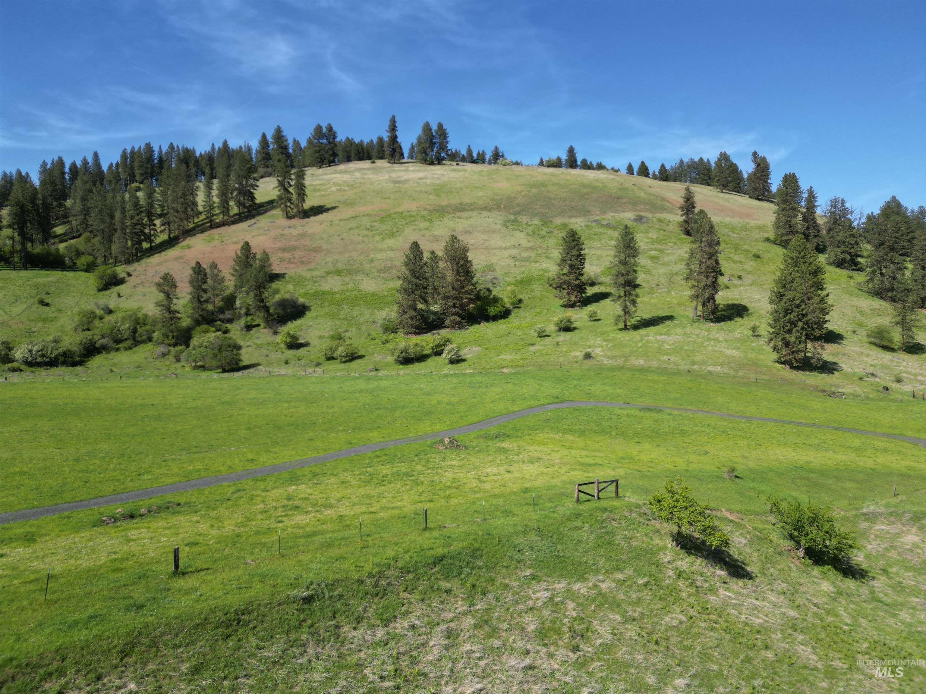 7329 Upper Fords Creek, Orofino, Idaho 83544, Land For Sale, Price $269,900, 98946728