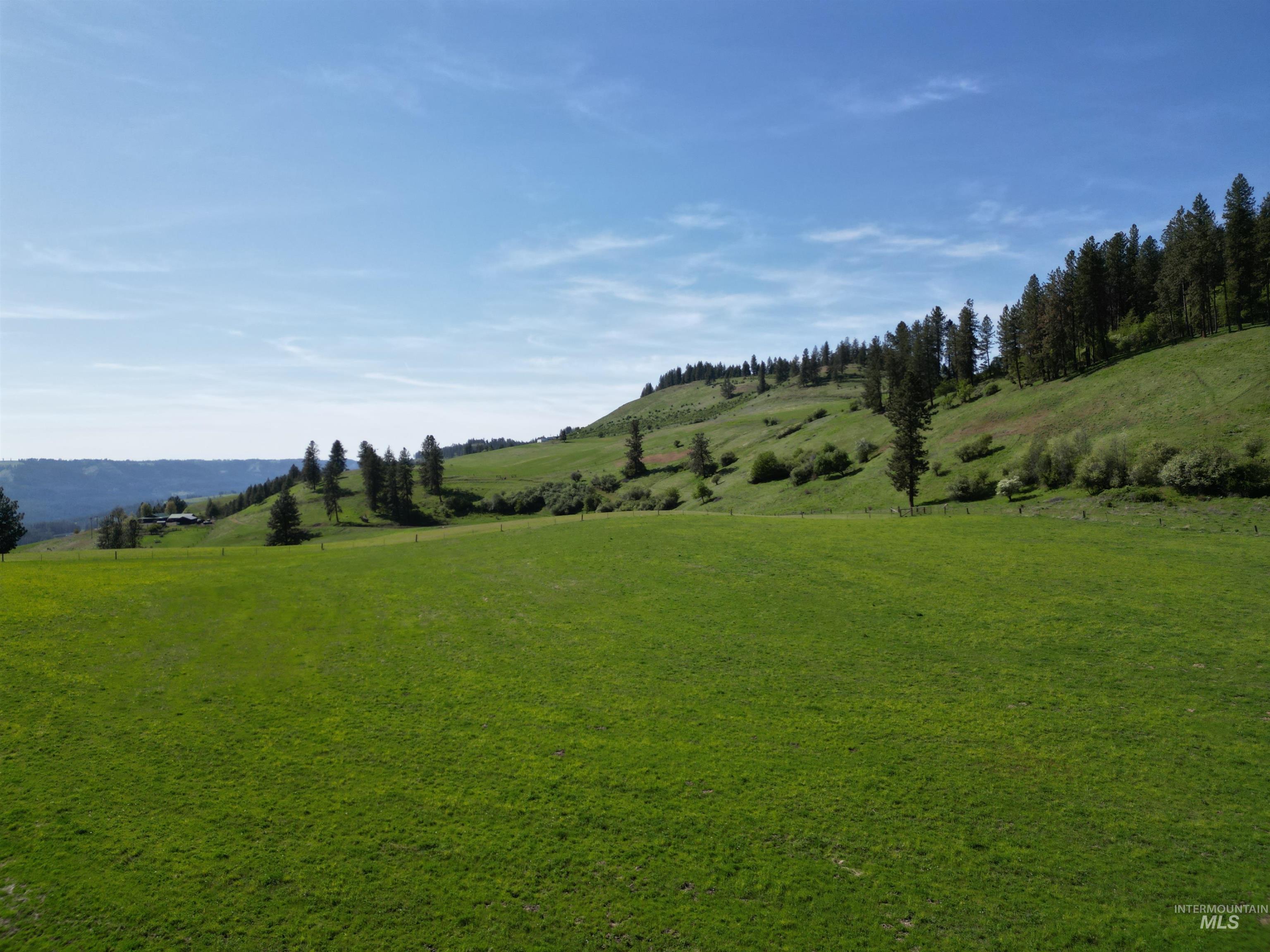 7329 Upper Fords Creek, Orofino, Idaho 83544, Land For Sale, Price $269,900, 98946728