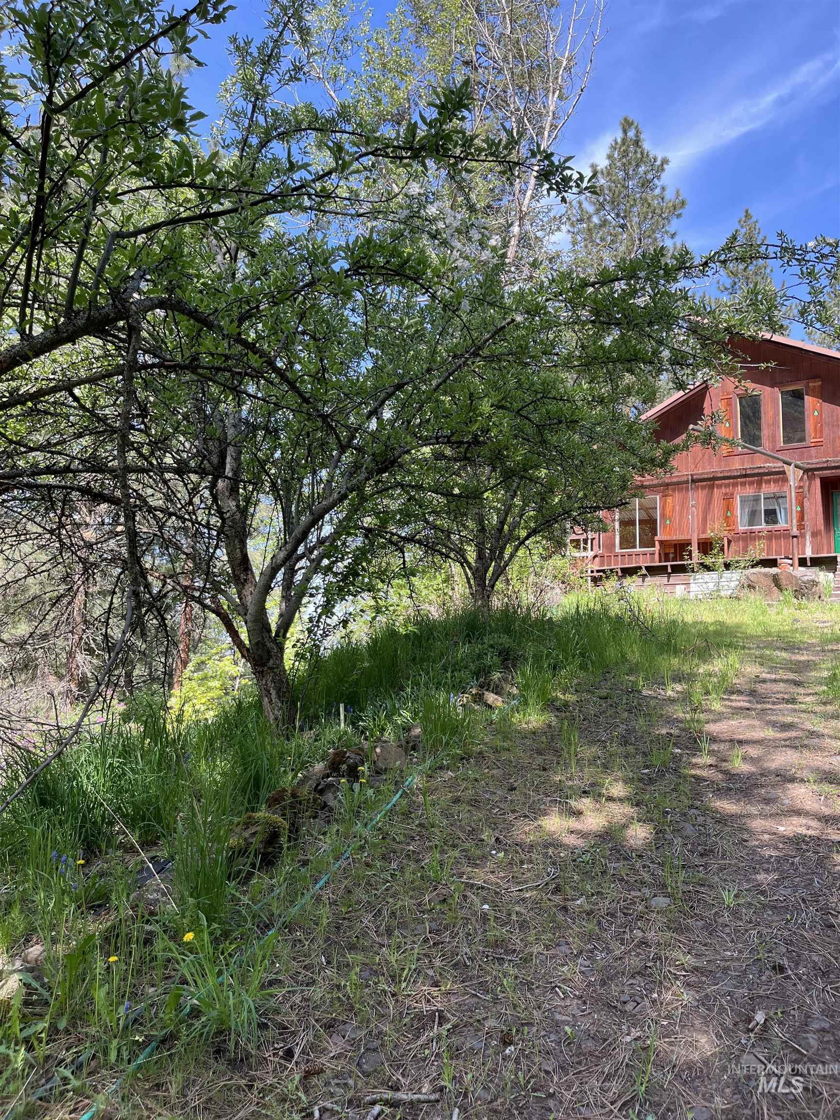 545 Getta Creek Rd, CottonWood, Idaho 83522, 3 Bedrooms, 1 Bathroom, Residential For Sale, Price $240,000, 98946731
