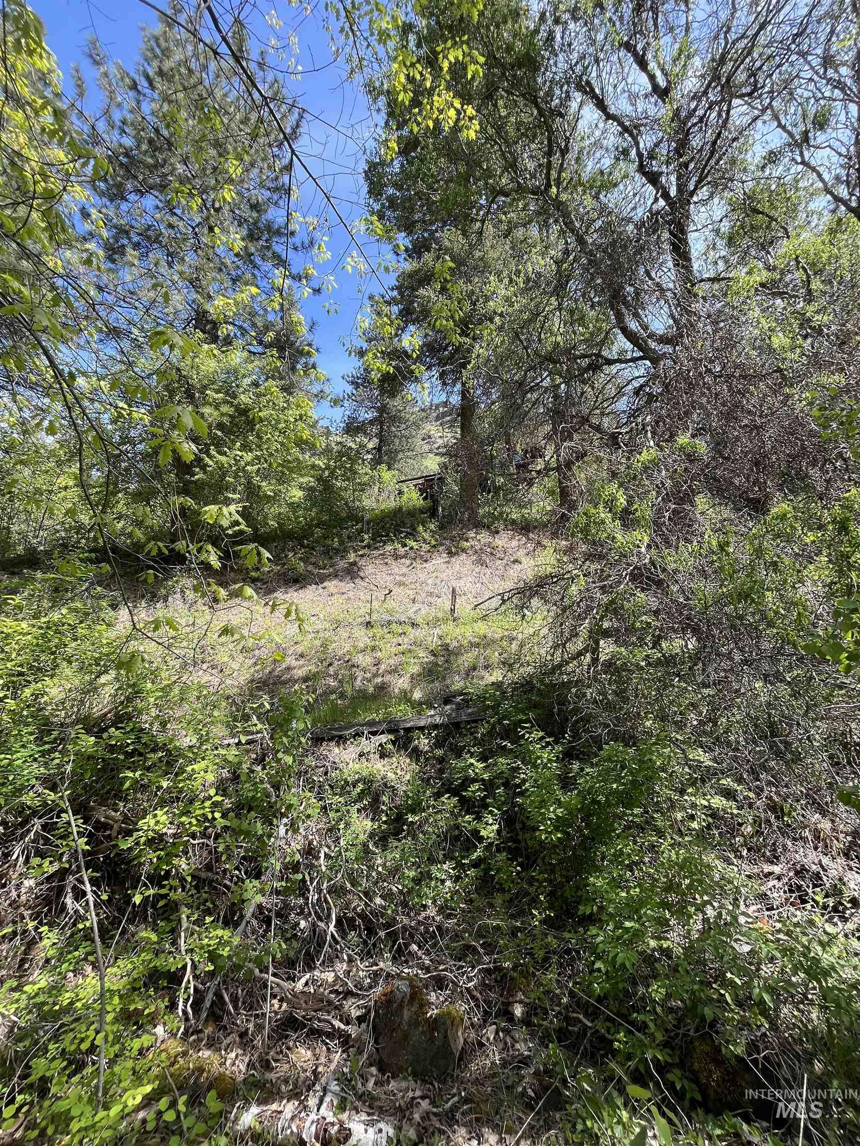 545 Getta Creek Rd, CottonWood, Idaho 83522, 3 Bedrooms, 1 Bathroom, Residential For Sale, Price $240,000, 98946731