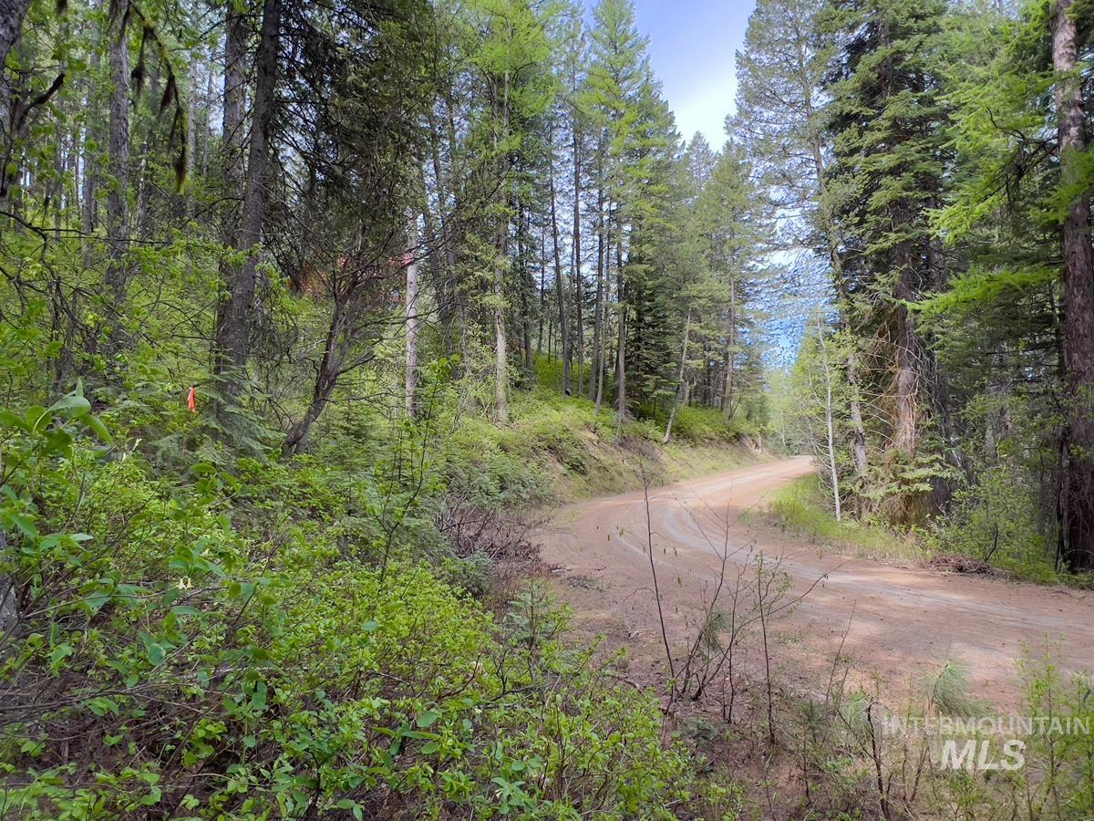 45 Landale Lane, Cascade, Idaho 83611, Land For Sale, Price $82,000, 98946734