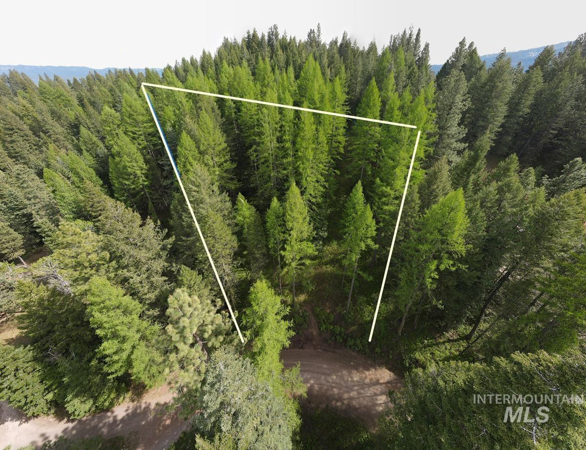 45 Landale Lane, Cascade, Idaho 83611, Land For Sale, Price $82,000, 98946734