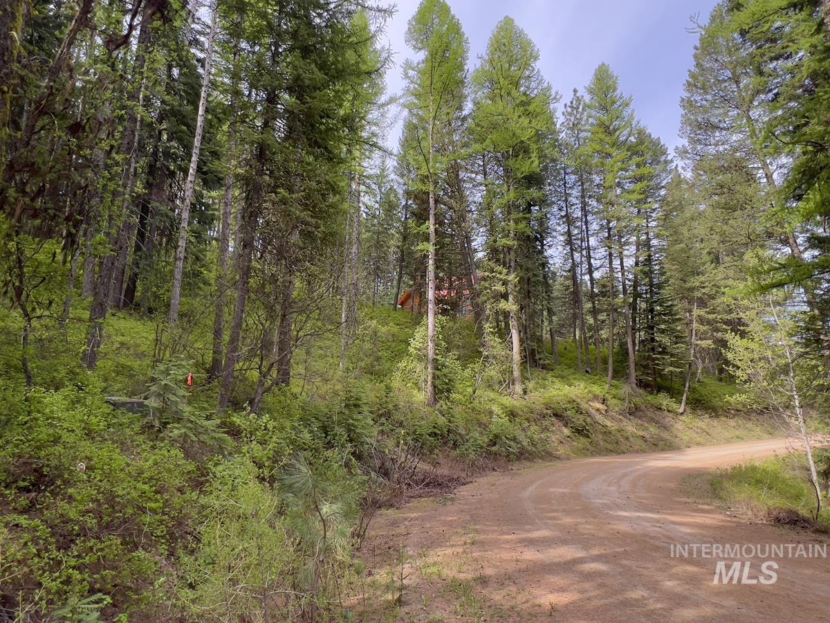 45 Landale Lane, Cascade, Idaho 83611, Land For Sale, Price $82,000, 98946734