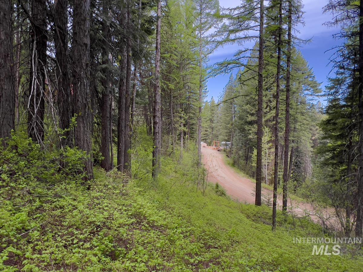45 Landale Lane, Cascade, Idaho 83611, Land For Sale, Price $82,000, 98946734