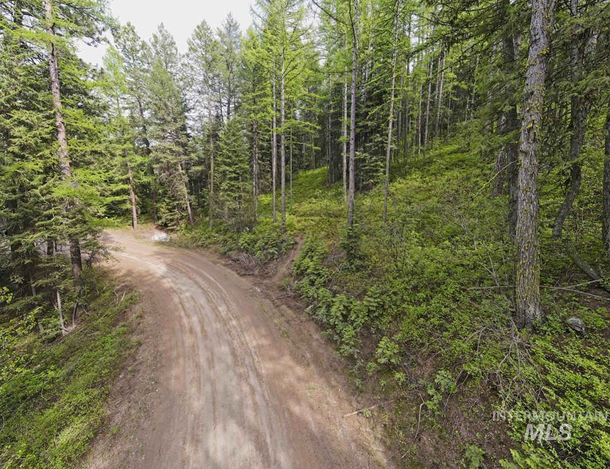 45 Landale Lane, Cascade, Idaho 83611, Land For Sale, Price $82,000, 98946734