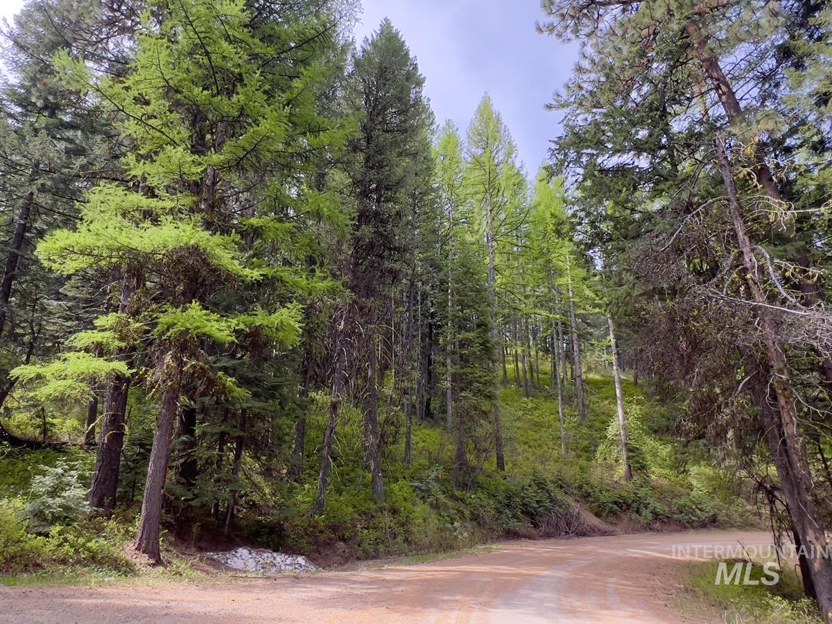 45 Landale Lane, Cascade, Idaho 83611, Land For Sale, Price $82,000, 98946734