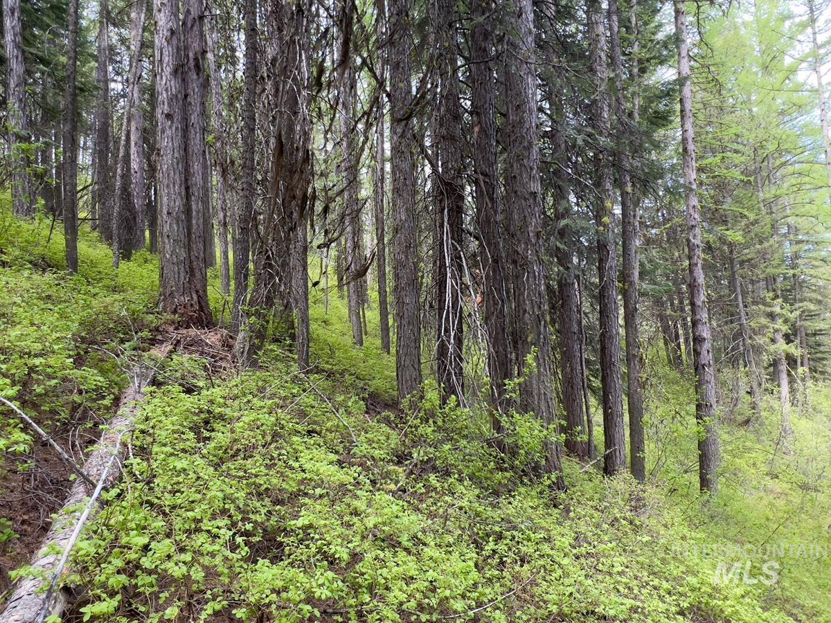 45 Landale Lane, Cascade, Idaho 83611, Land For Sale, Price $82,000, 98946734