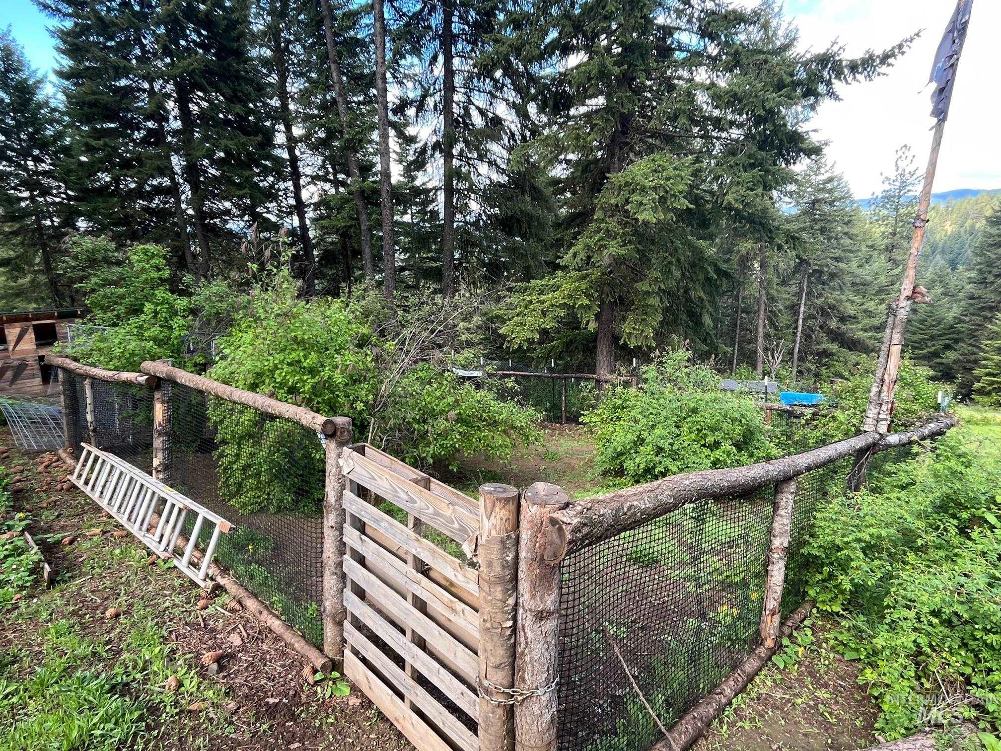 997 Norton Knob Ln, Orofino, Idaho 83544, Land For Sale, Price $180,000,MLS 98946742