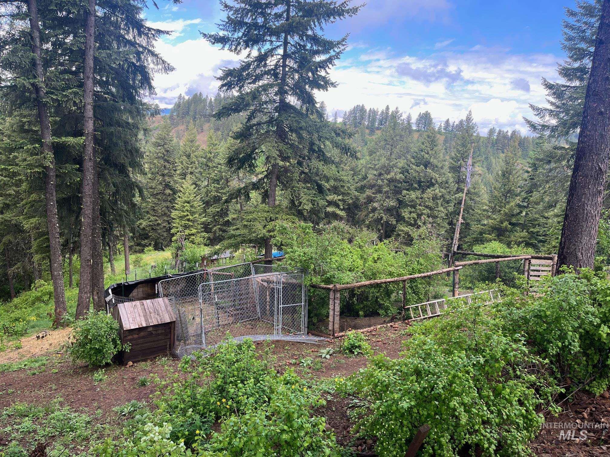 997 Norton Knob Ln, Orofino, Idaho 83544, Land For Sale, Price $180,000,MLS 98946742