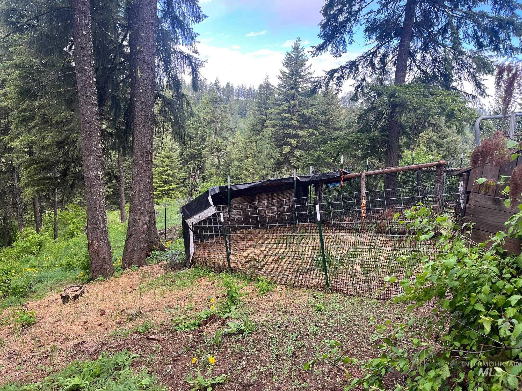 997 Norton Knob Ln, Orofino, Idaho 83544, Land For Sale, Price $180,000,MLS 98946742