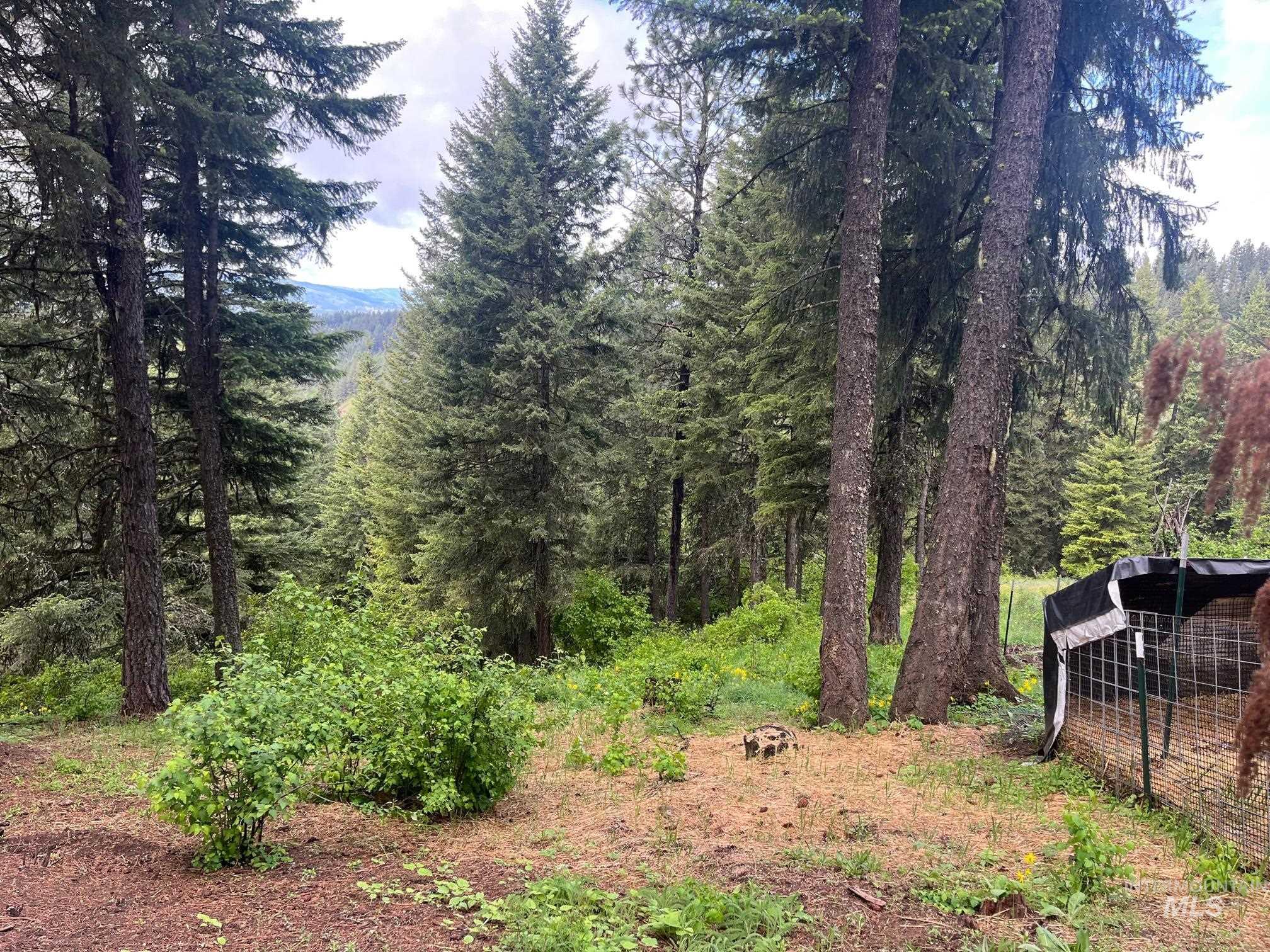 997 Norton Knob Ln, Orofino, Idaho 83544, Land For Sale, Price $180,000,MLS 98946742