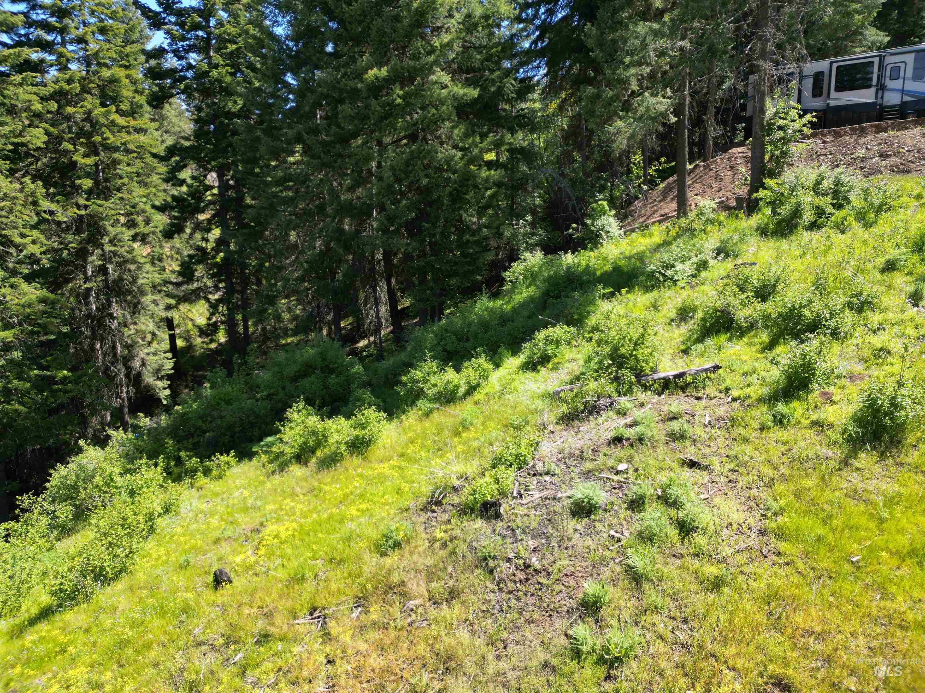 997 Norton Knob Ln, Orofino, Idaho 83544, Land For Sale, Price $180,000,MLS 98946742