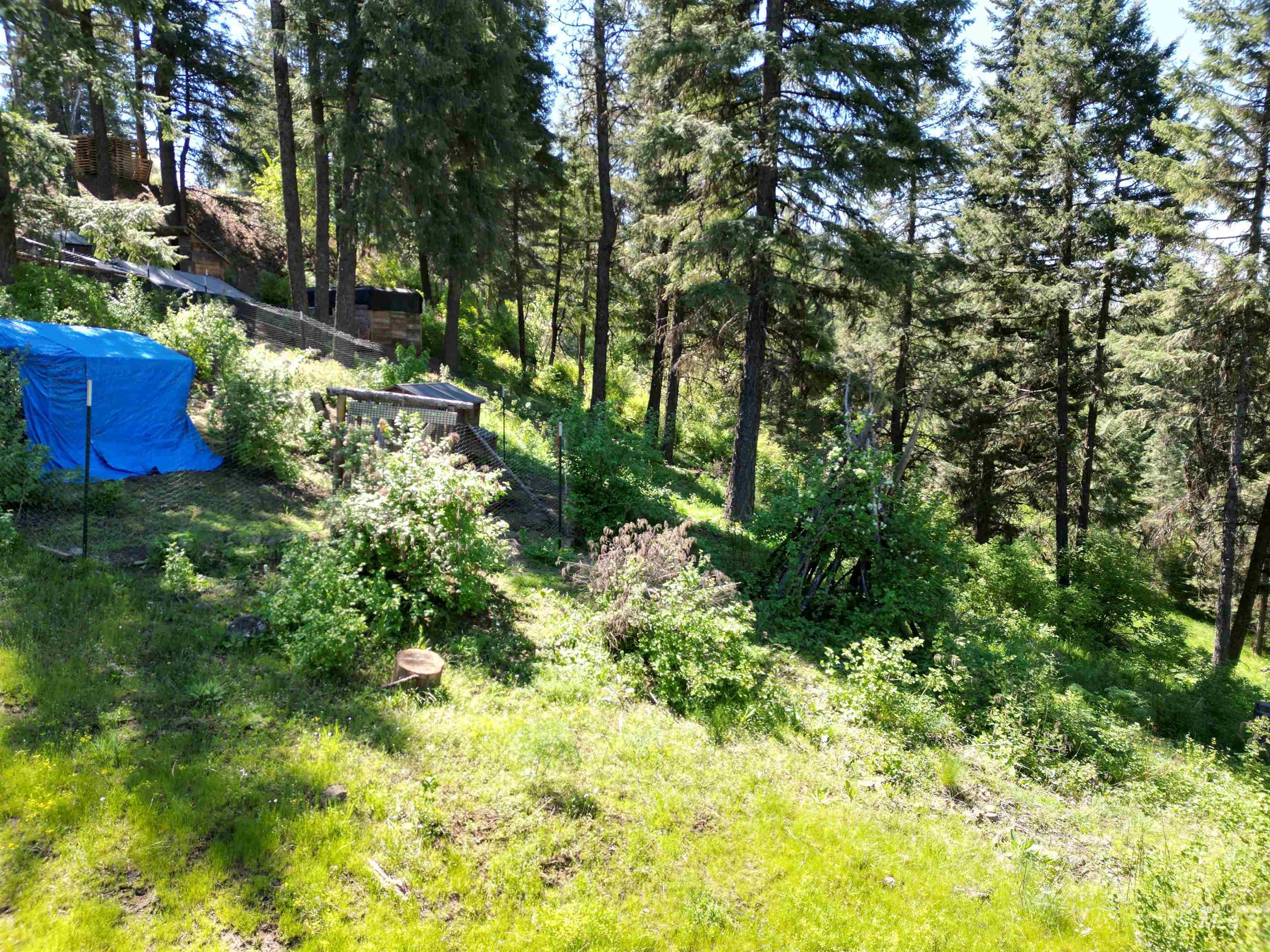 997 Norton Knob Ln, Orofino, Idaho 83544, Land For Sale, Price $180,000,MLS 98946742