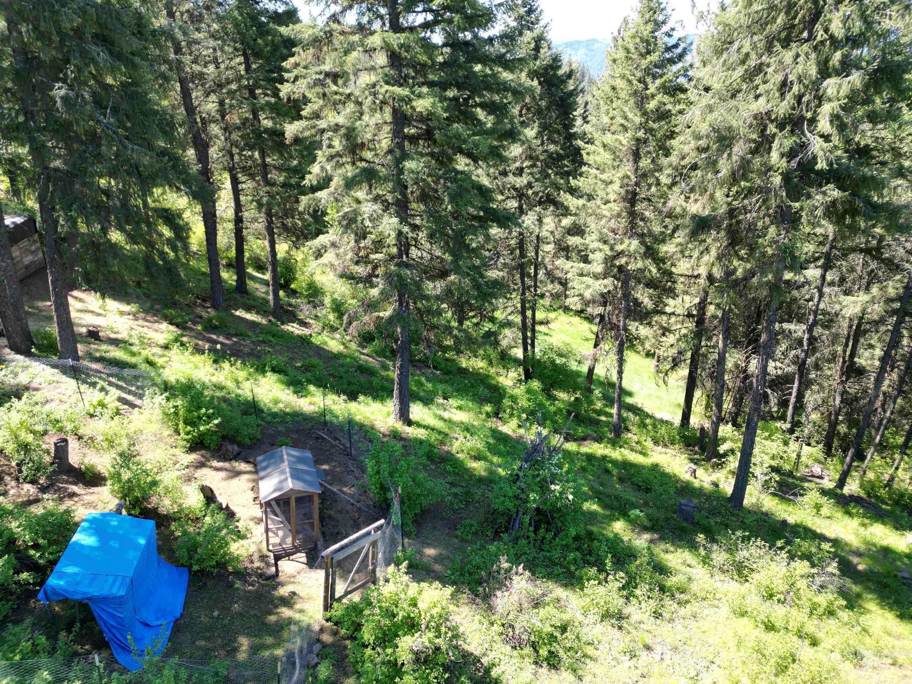 997 Norton Knob Ln, Orofino, Idaho 83544, Land For Sale, Price $180,000,MLS 98946742