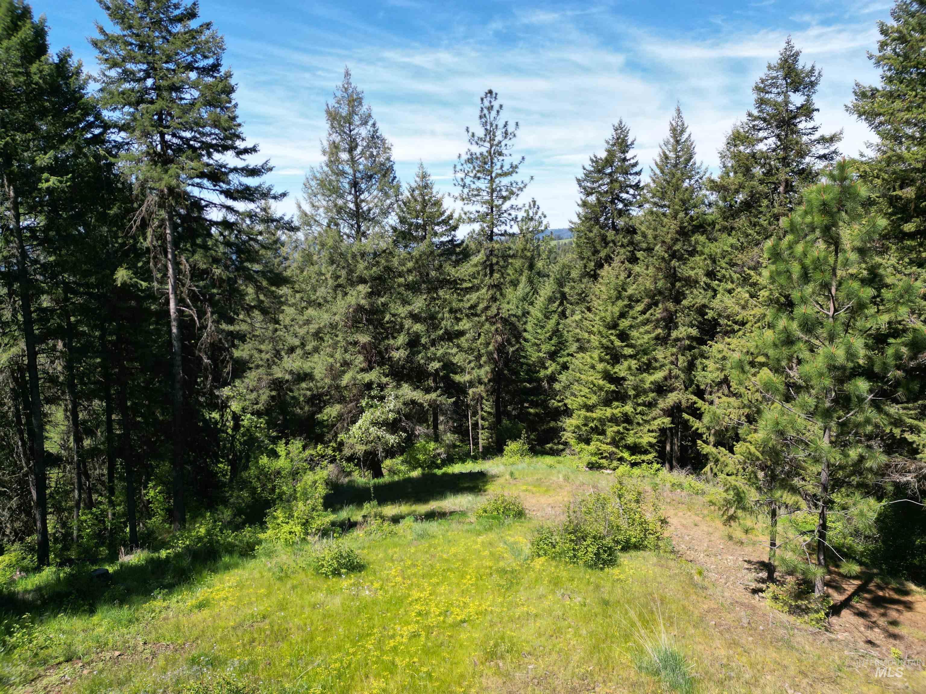 997 Norton Knob Ln, Orofino, Idaho 83544, Land For Sale, Price $180,000,MLS 98946742