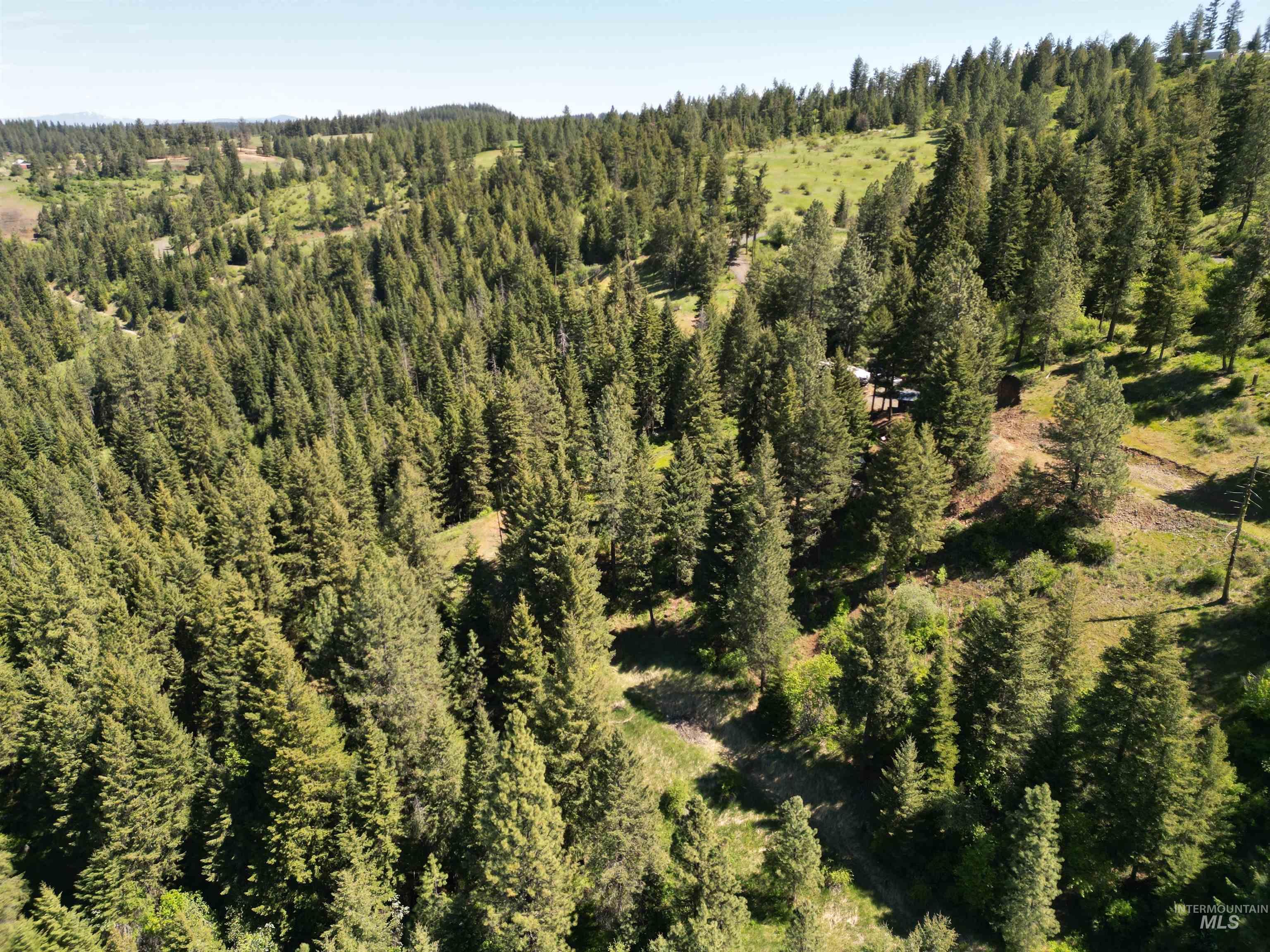 997 Norton Knob Ln, Orofino, Idaho 83544, Land For Sale, Price $180,000,MLS 98946742