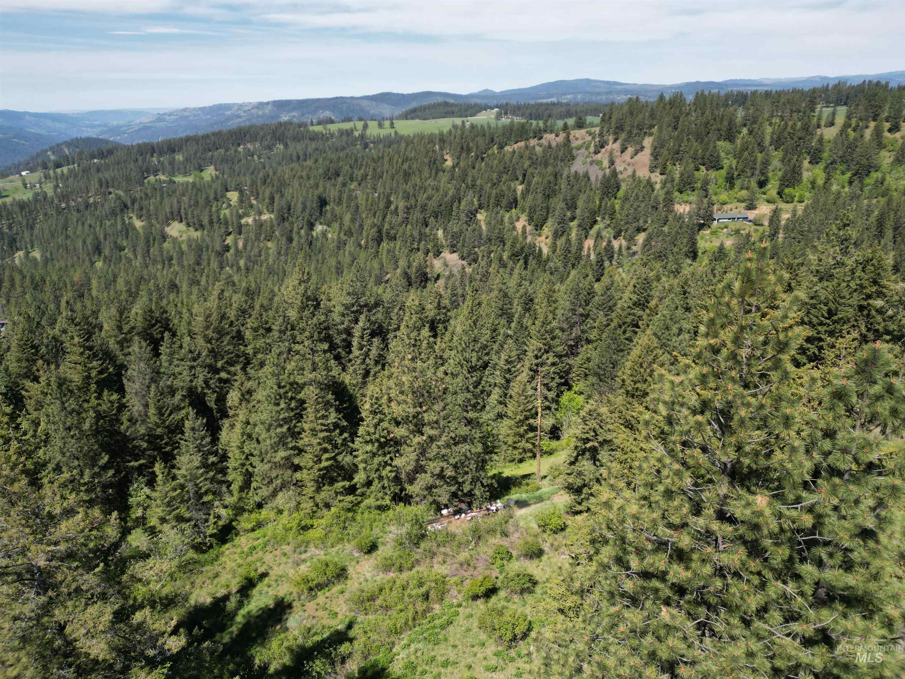 997 Norton Knob Ln, Orofino, Idaho 83544, Land For Sale, Price $180,000,MLS 98946742
