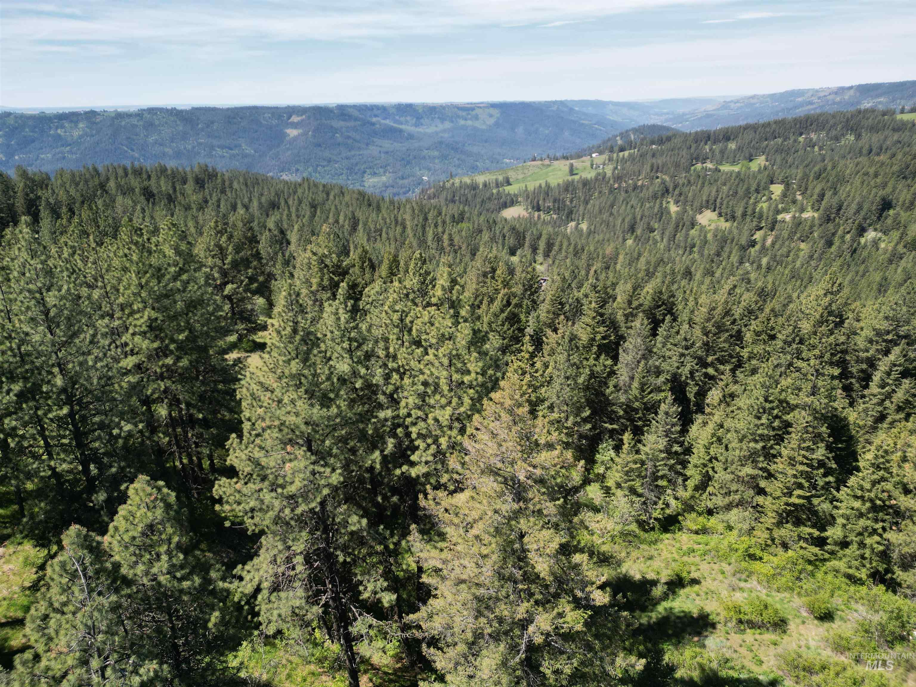 997 Norton Knob Ln, Orofino, Idaho 83544, Land For Sale, Price $180,000,MLS 98946742
