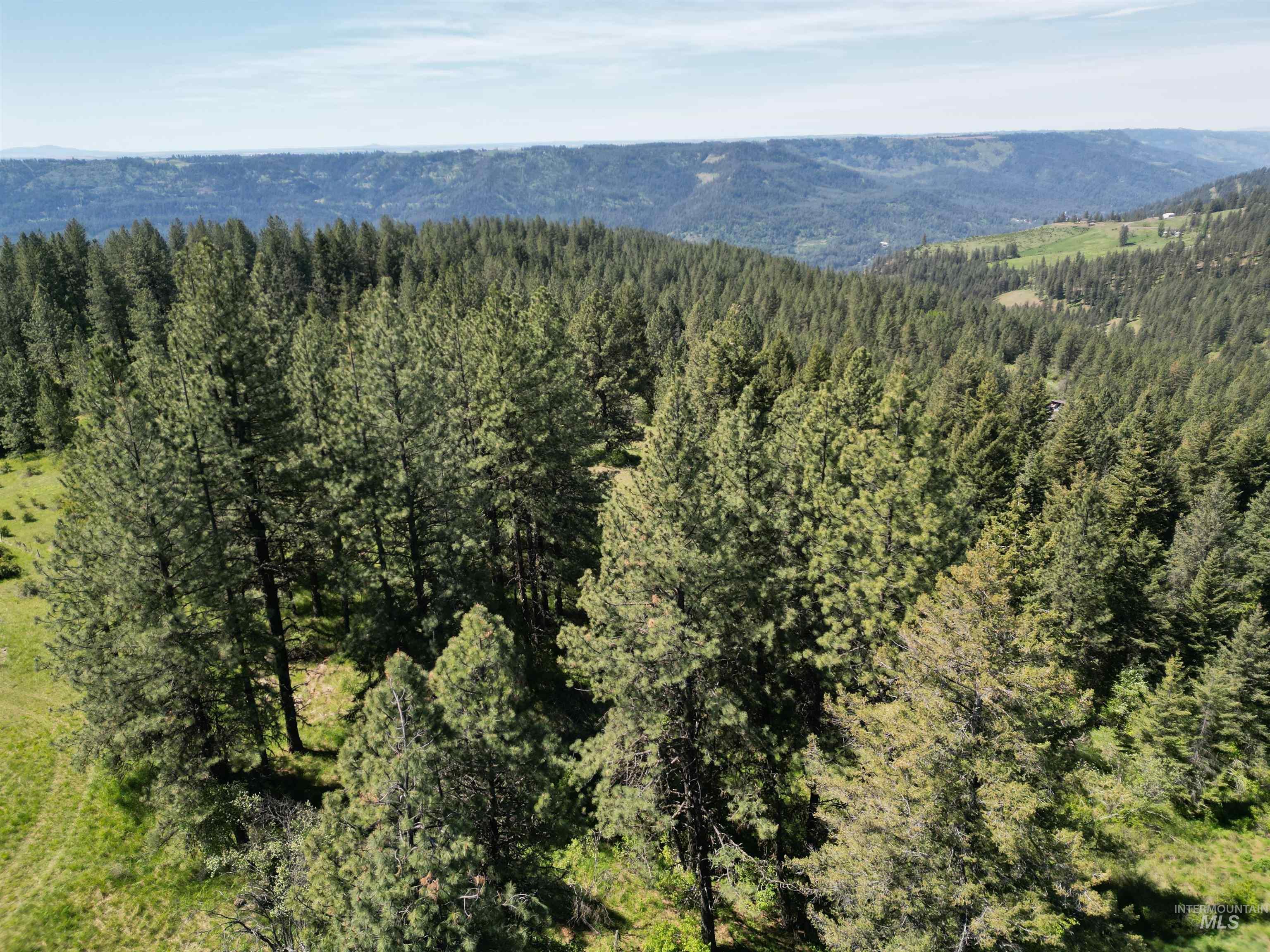 997 Norton Knob Ln, Orofino, Idaho 83544, Land For Sale, Price $180,000,MLS 98946742