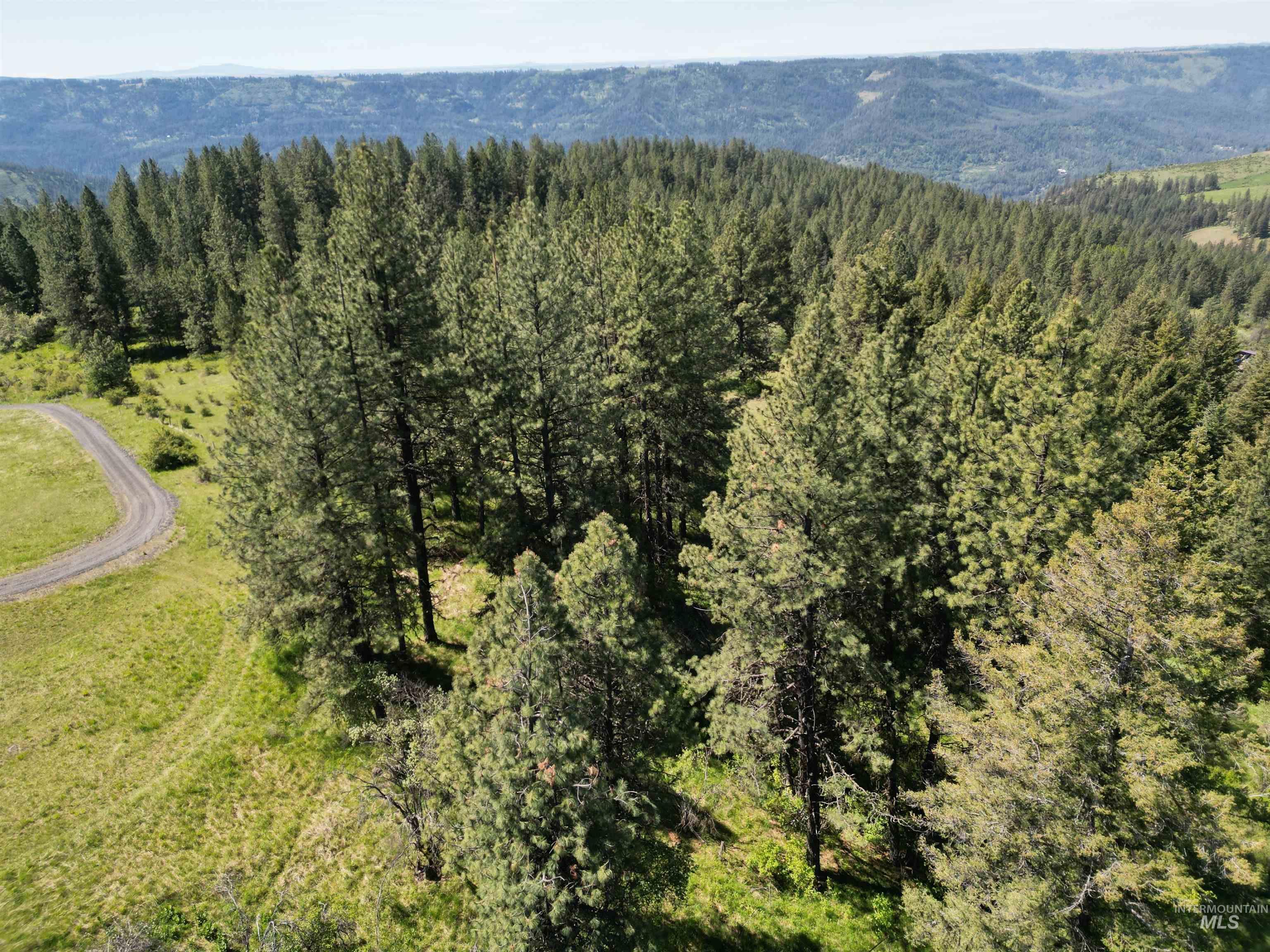 997 Norton Knob Ln, Orofino, Idaho 83544, Land For Sale, Price $180,000,MLS 98946742
