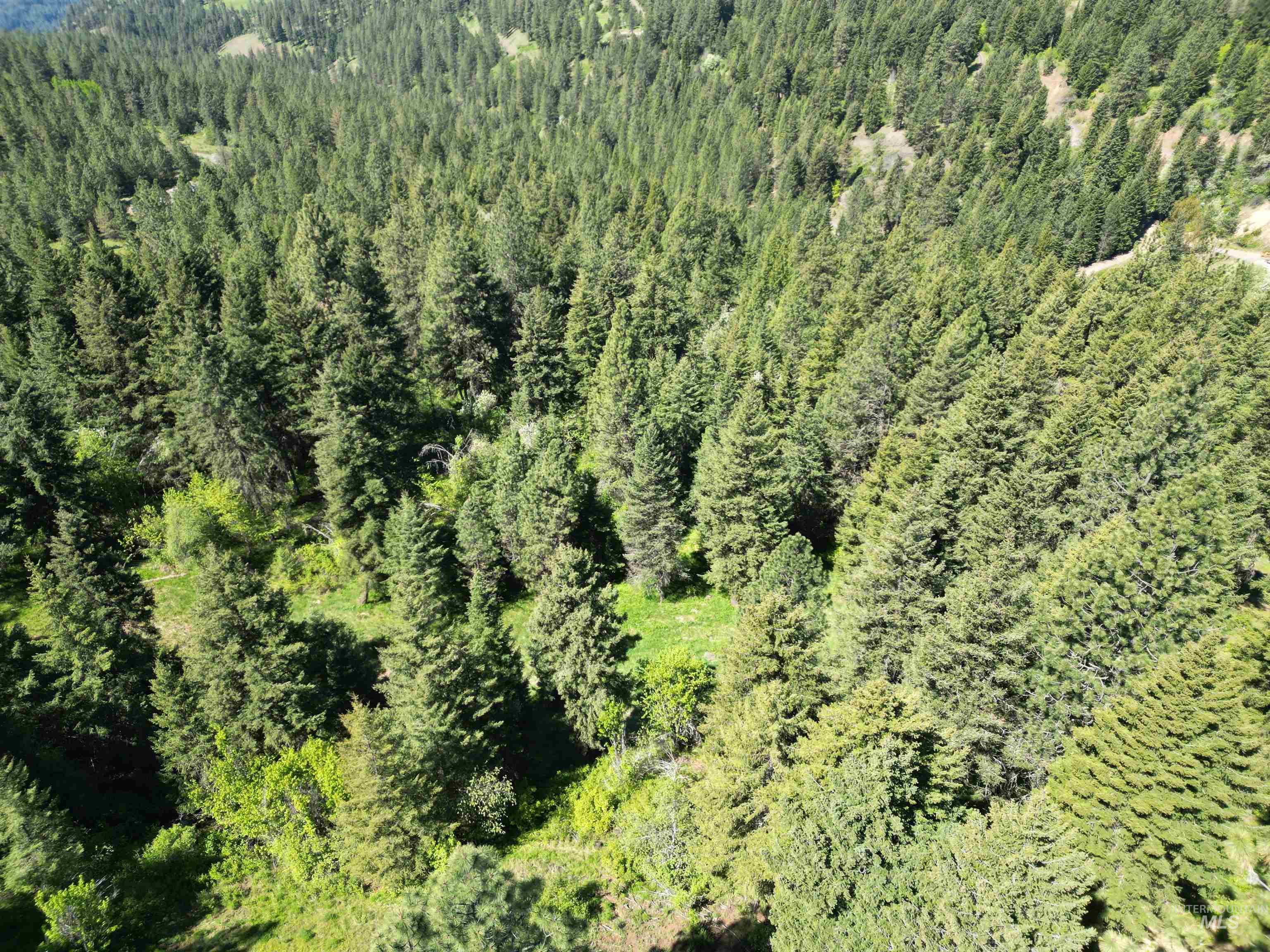 997 Norton Knob Ln, Orofino, Idaho 83544, Land For Sale, Price $180,000,MLS 98946742