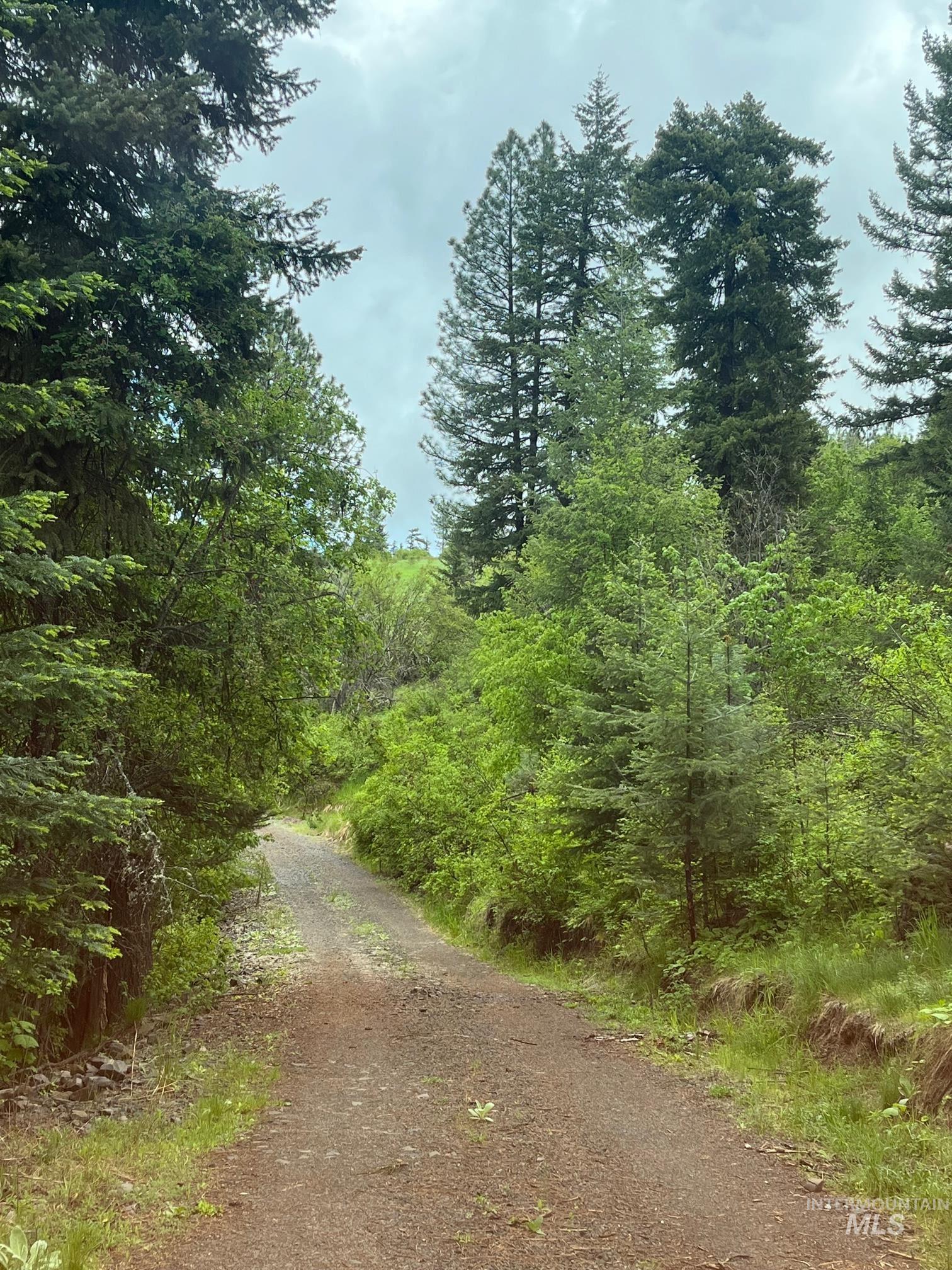 997 Norton Knob Ln, Orofino, Idaho 83544, Land For Sale, Price $180,000,MLS 98946742